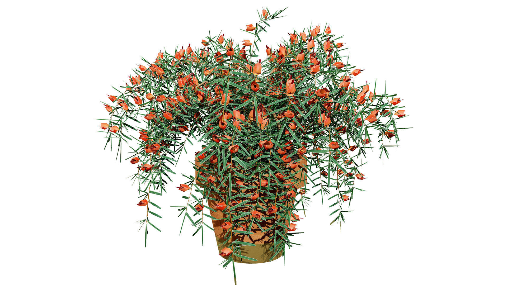 Lotus Vine 3D Model Low-poly 3D model_4