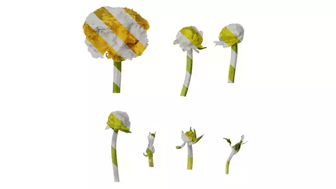 Anydrafts Ranunculus asiaticus Flower 05