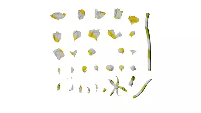 Anydrafts Ranunculus asiaticus Flower 10