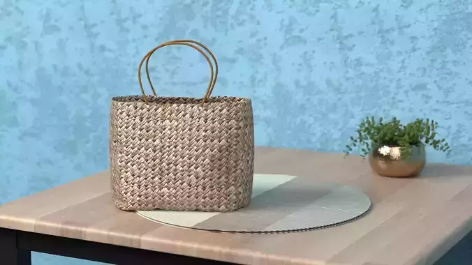 Rattan bag 3D 
