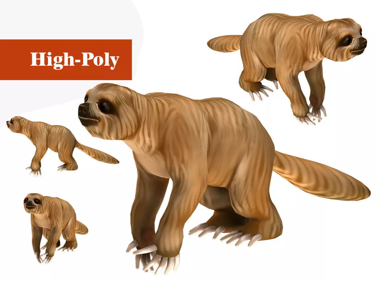 sloth rig  high-poly textured 3D model_0