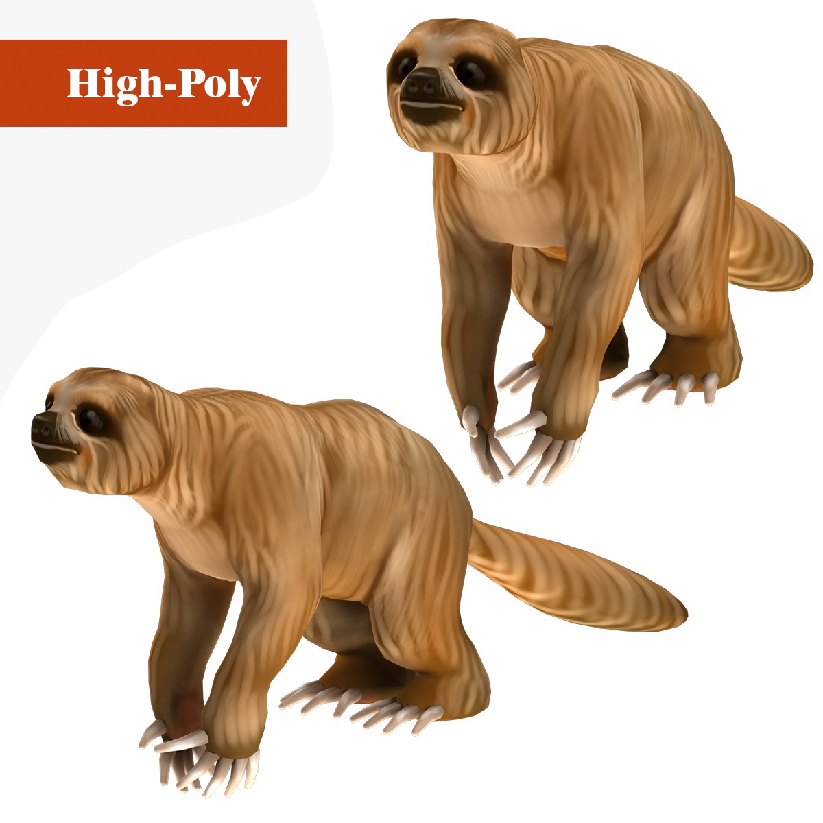 sloth rig  high-poly textured 3D model_1