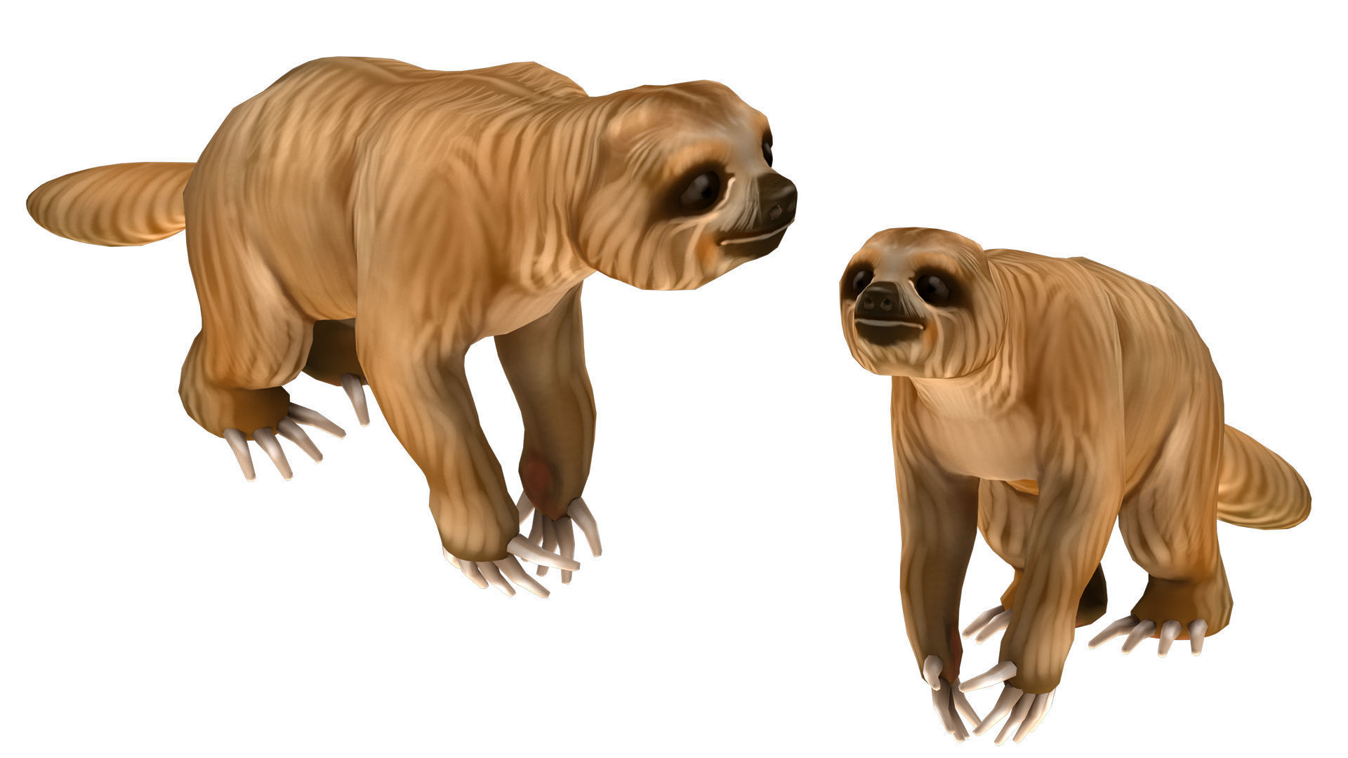 sloth rig  high-poly textured 3D model_2