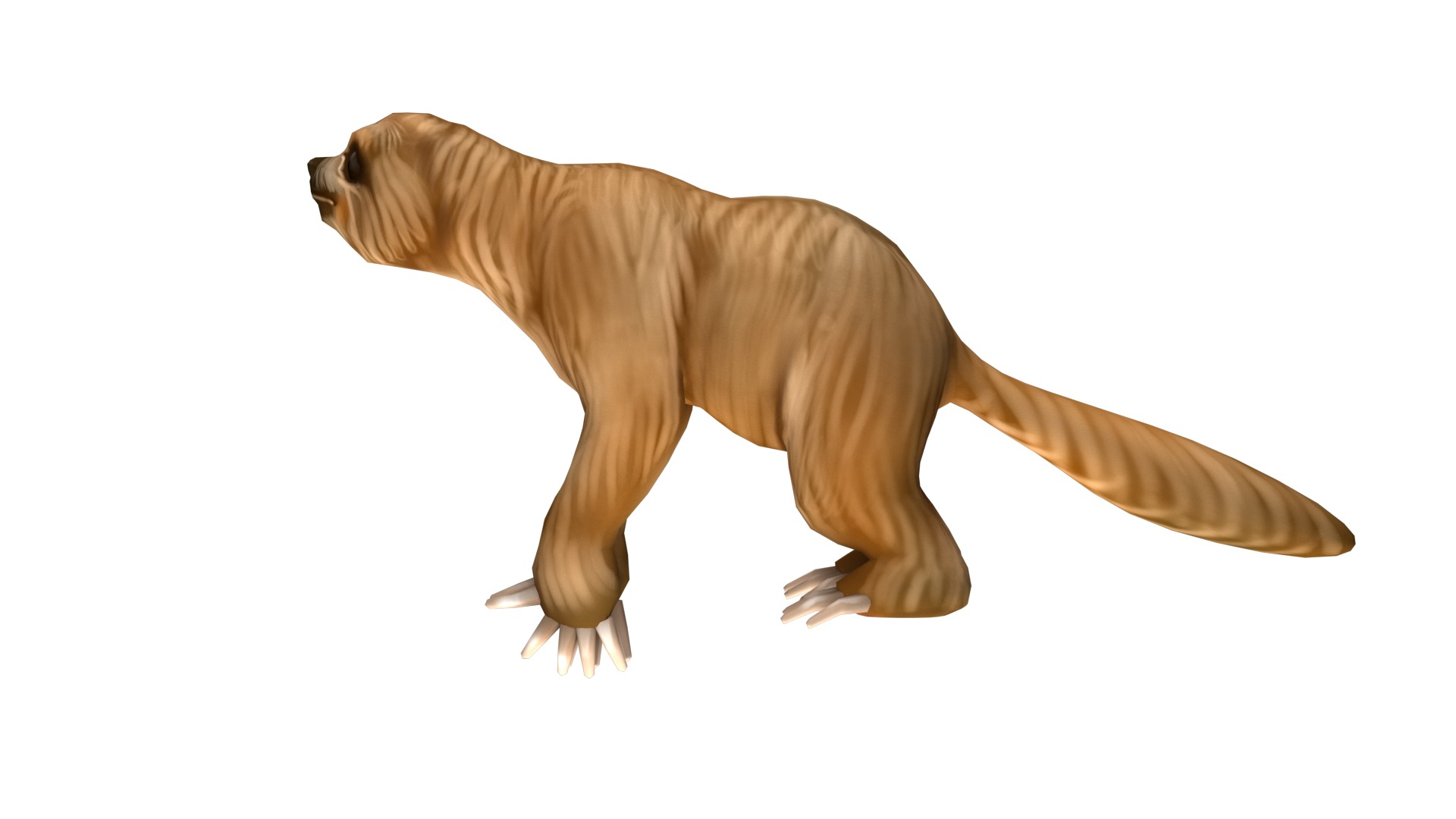 sloth rig  high-poly textured 3D model_11