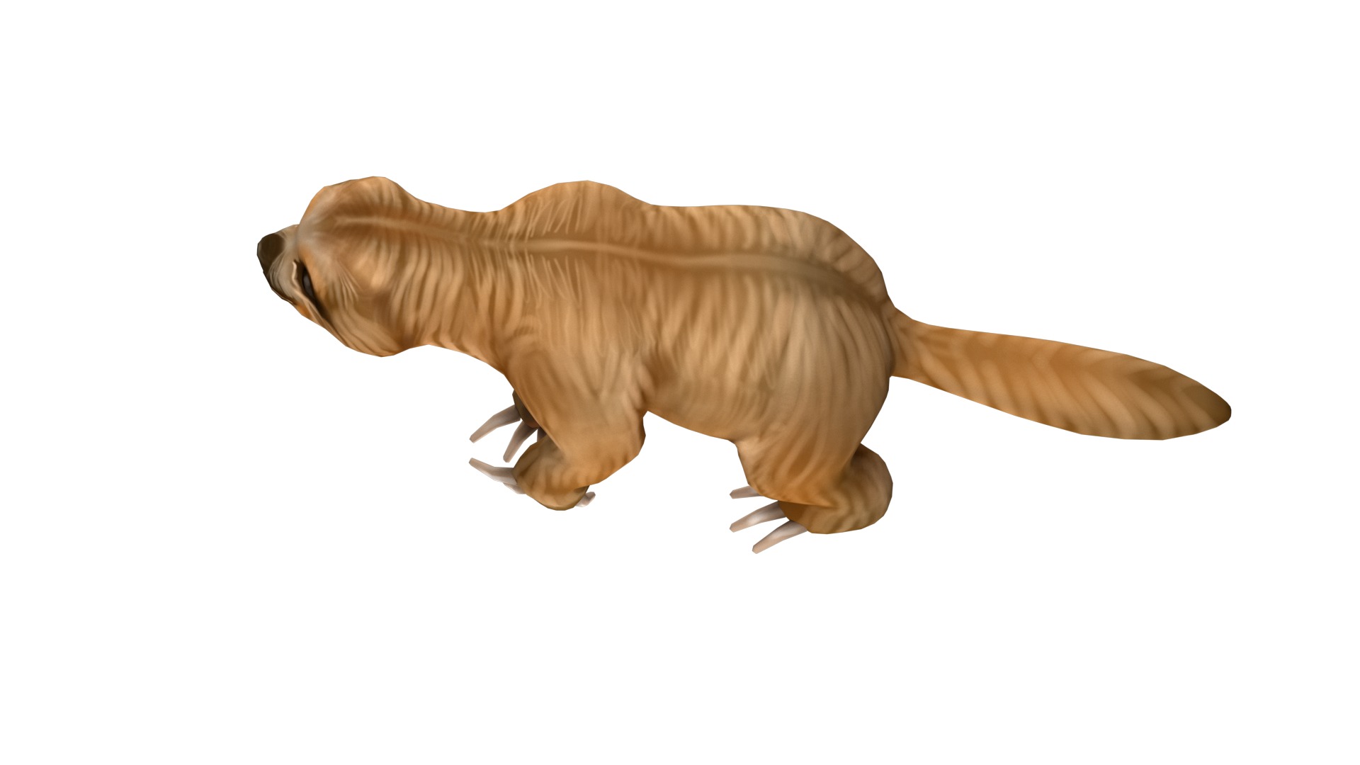 sloth rig  high-poly textured 3D model_12