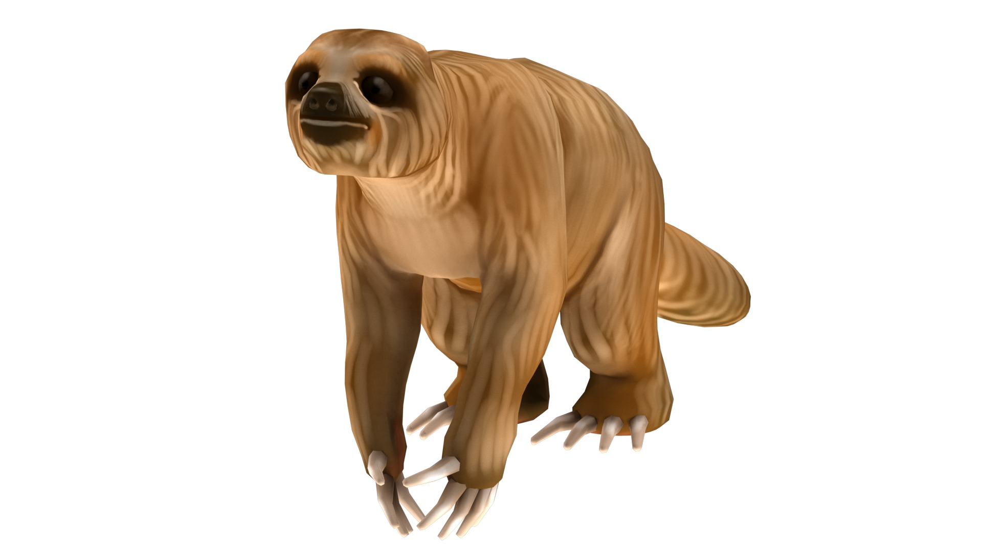 sloth rig  high-poly textured 3D model_4