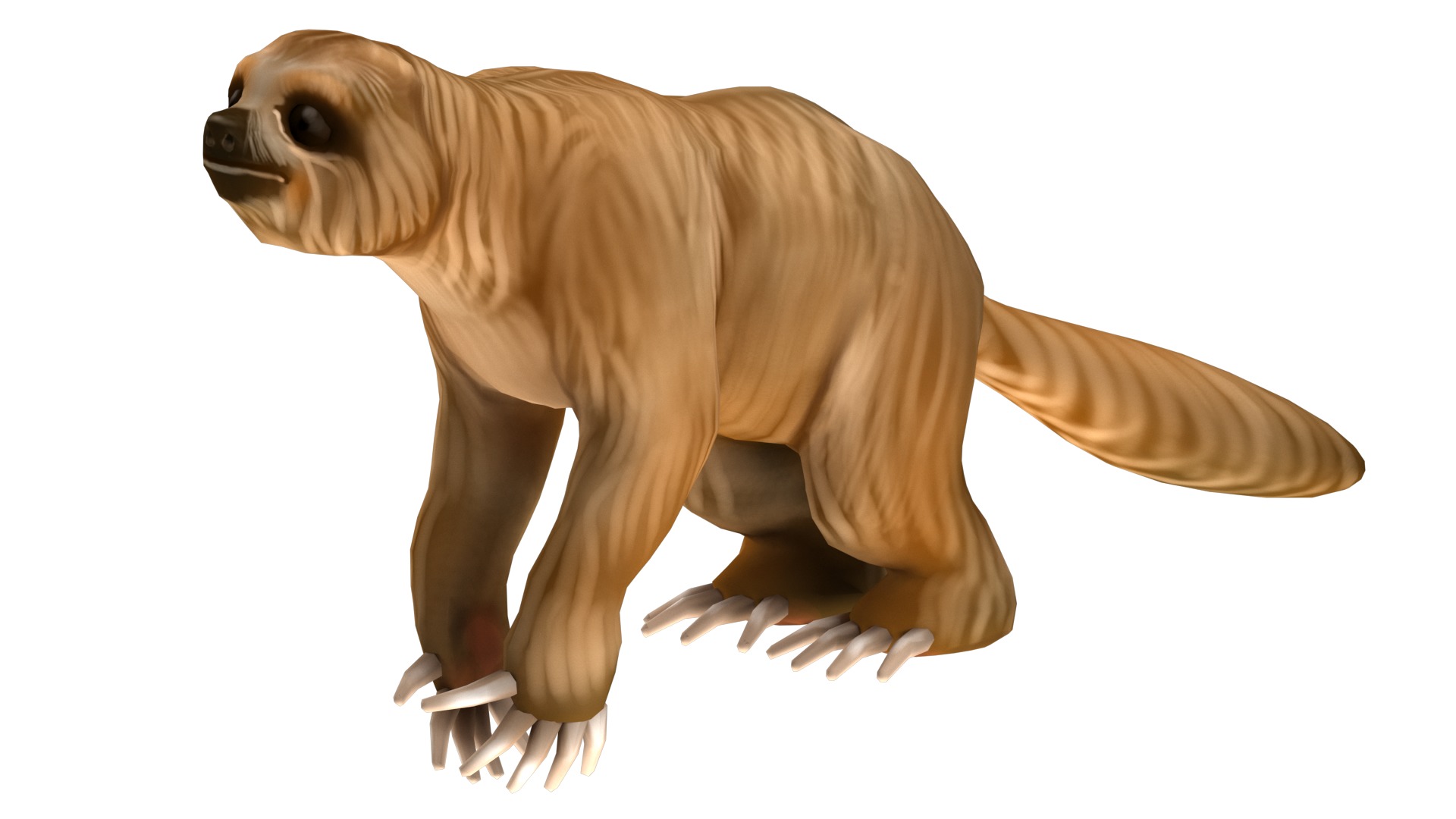 sloth rig  high-poly textured 3D model_3