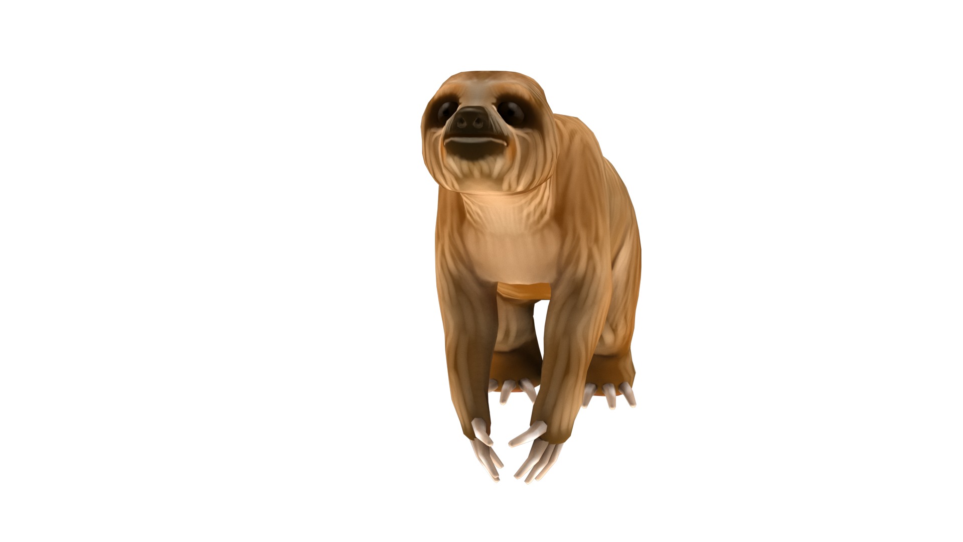 sloth rig  high-poly textured 3D model_13