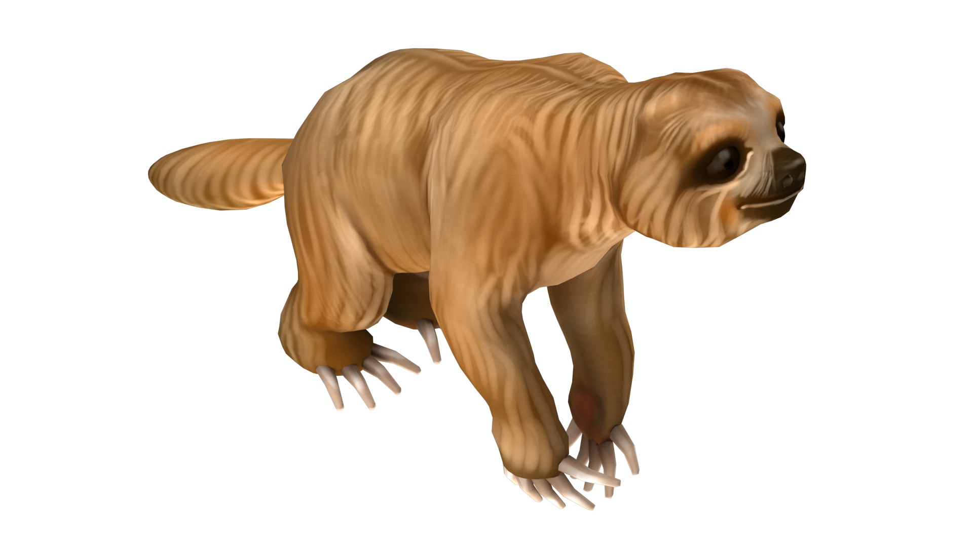 sloth rig  high-poly textured 3D model_10