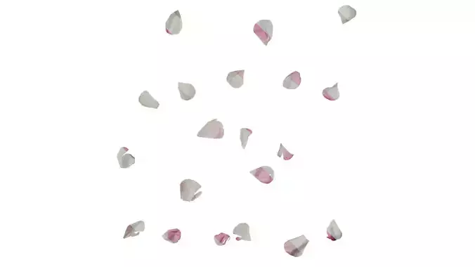 Anydrafts Ranunculus asiaticus Flower 14