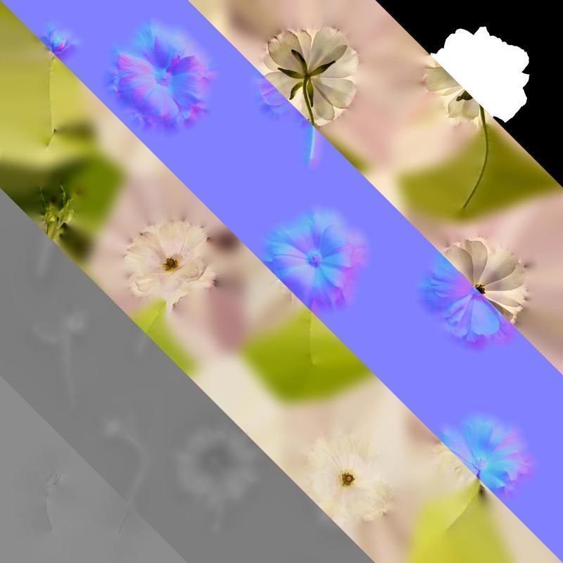 Anydrafts Ranunculus butterfly Flower 01 Texture_8