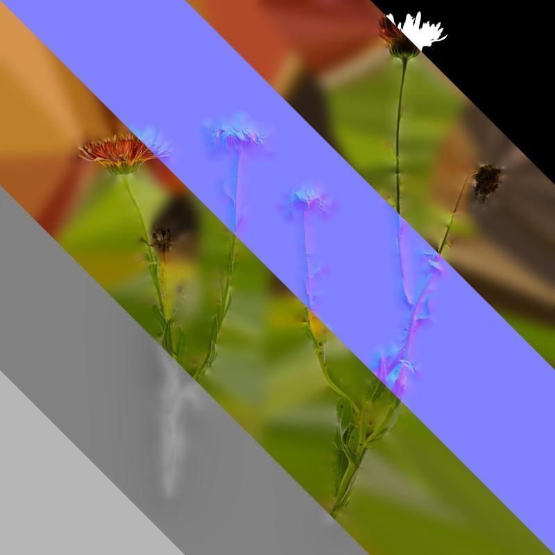 Anydrafts Rudbeckia hirta sahara Atlas 01 Texture_8