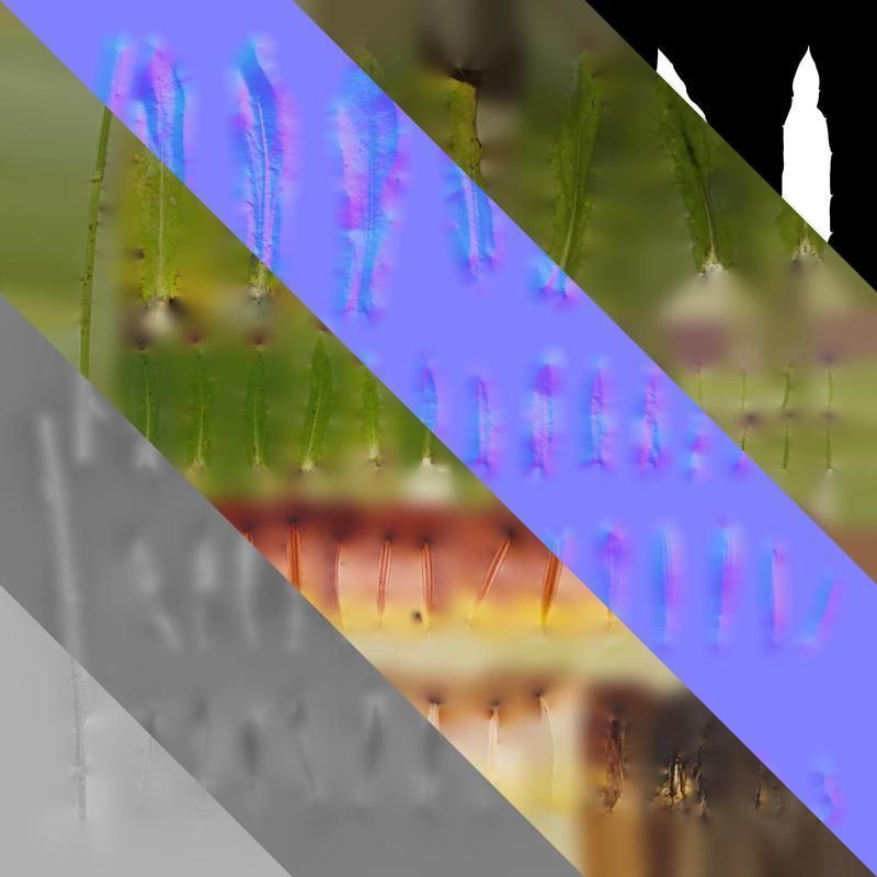 Anydrafts Rudbeckia hirta sahara Atlas 02 Texture_8