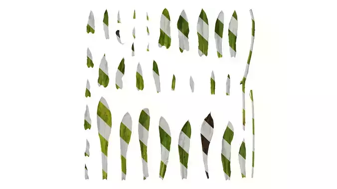 Anydrafts Rudbeckia hirta sahara Leaf 01 Texture Anydrafts Rudbeckia hirta sahara Leaf 01 Texture