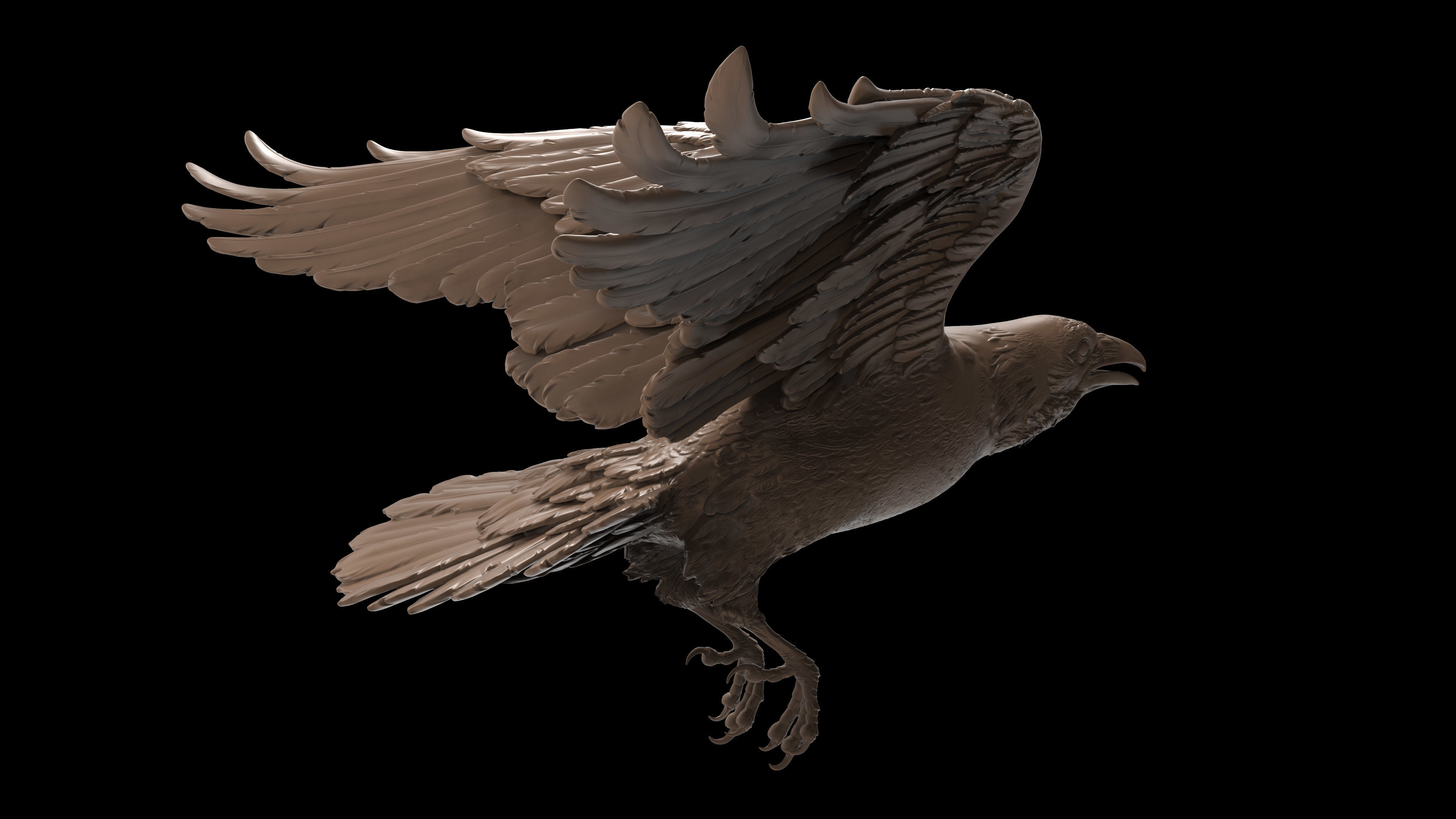 3 Crows 3D Model Collection_14