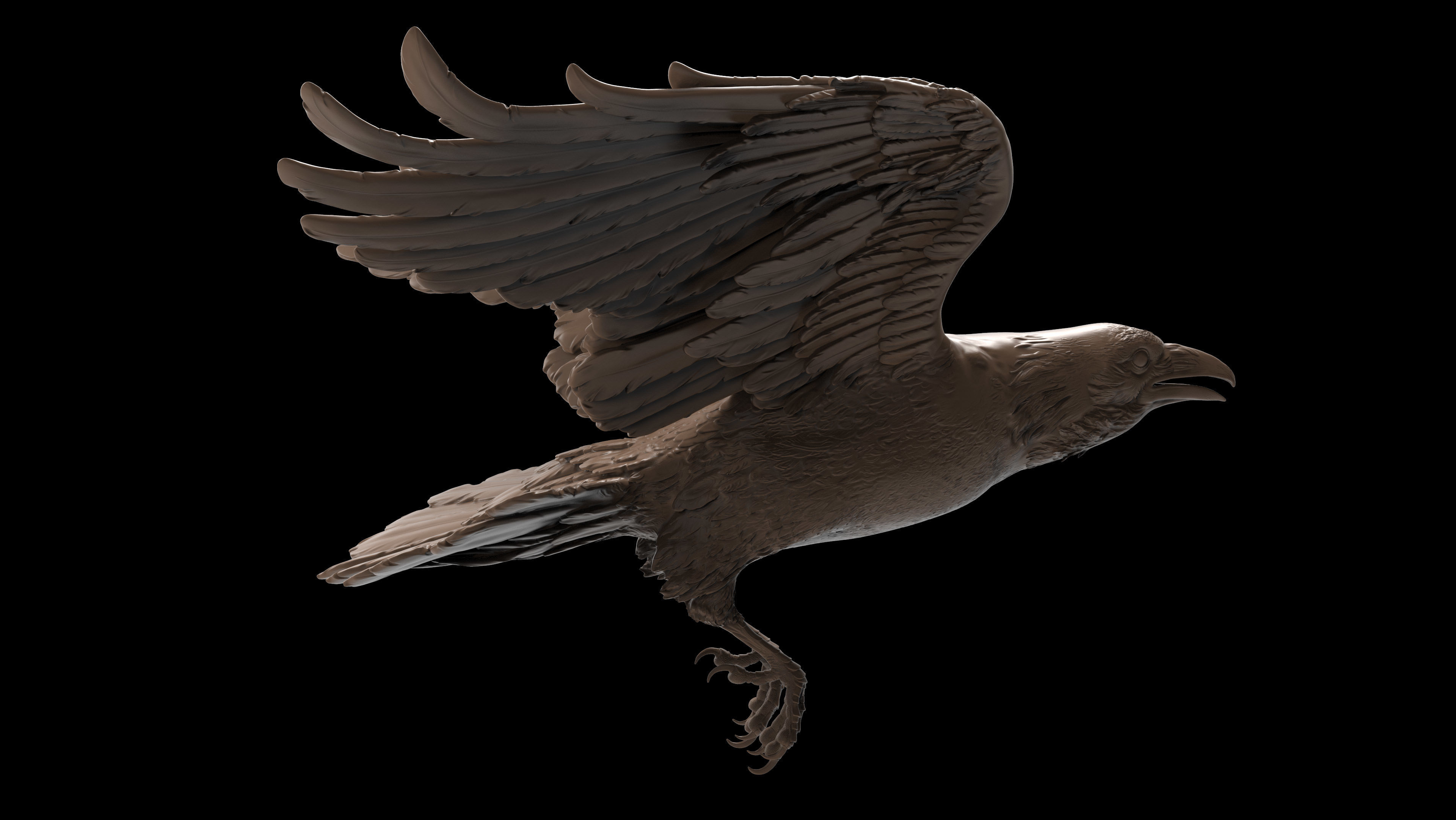 3 Crows 3D Model Collection_13