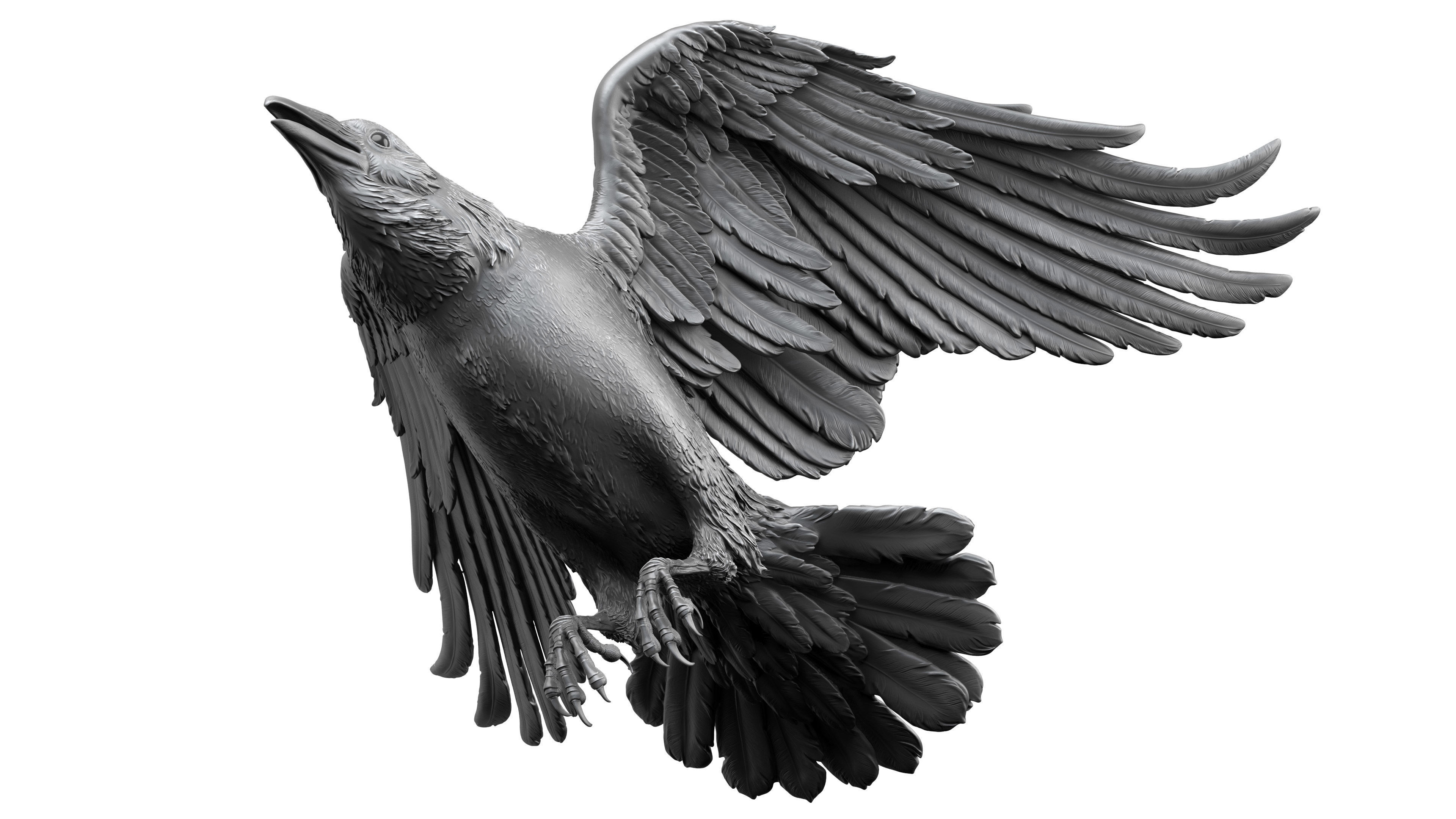 3 Crows 3D Model Collection_10