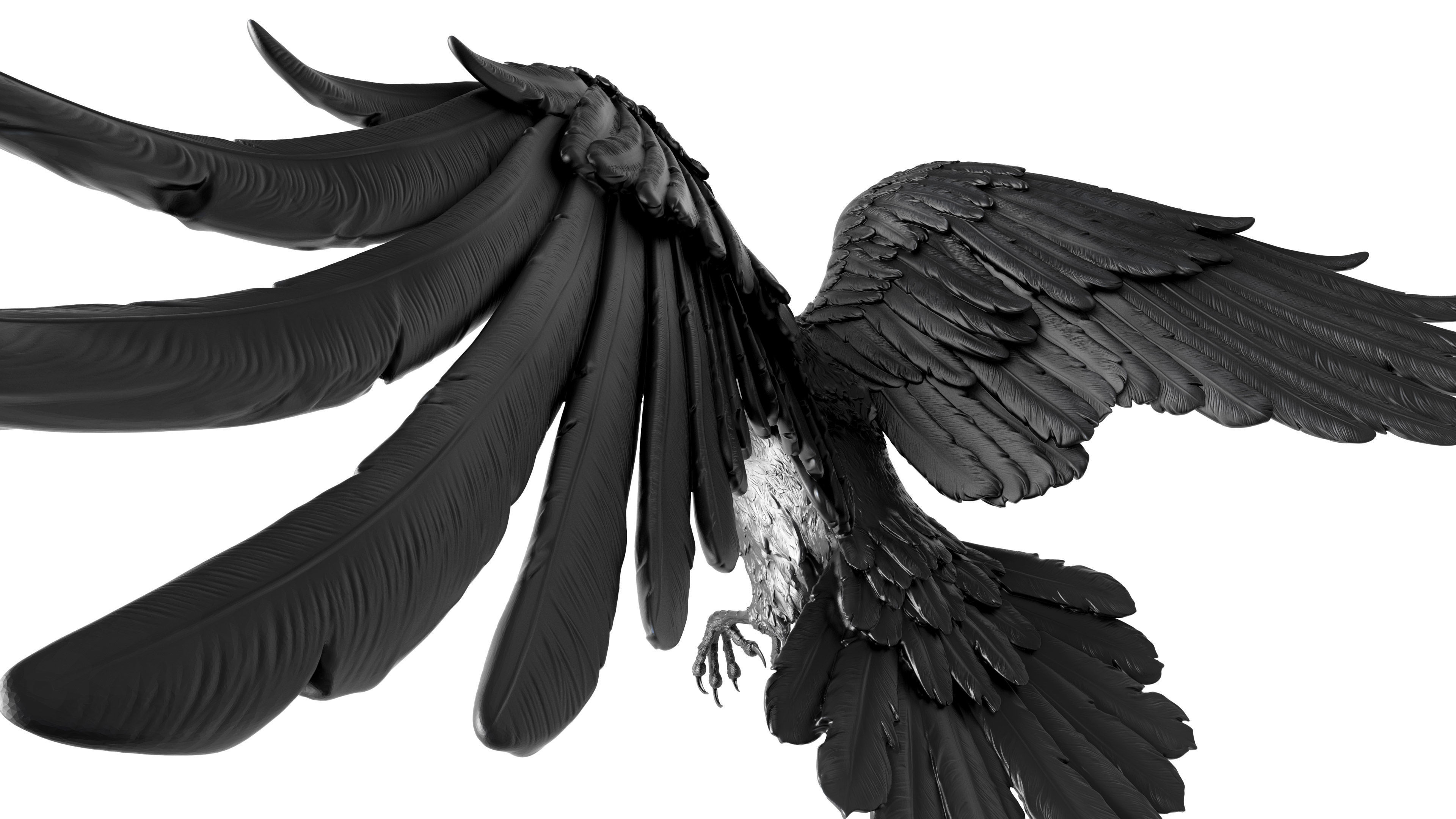 3 Crows 3D Model Collection_23