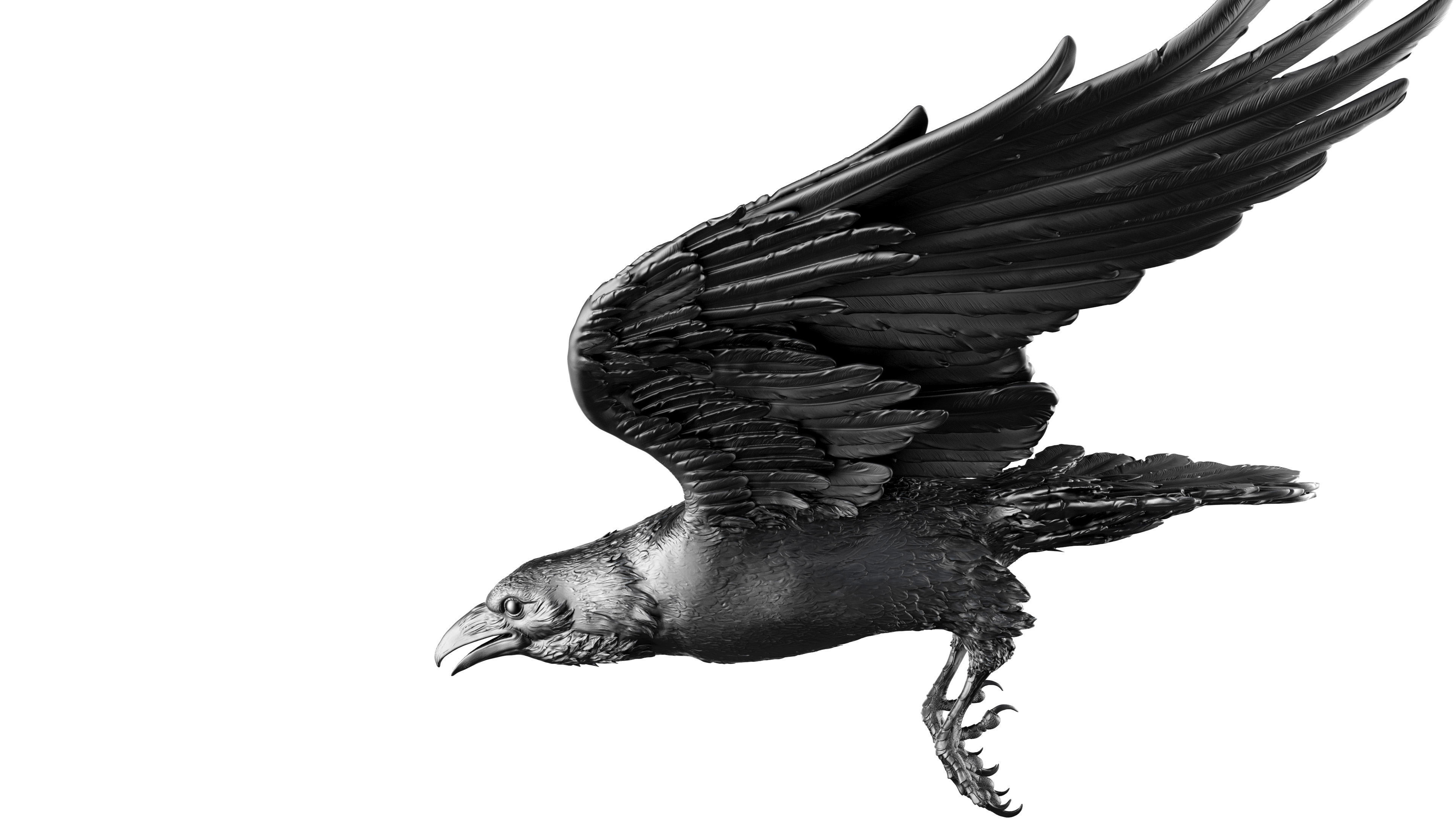 3 Crows 3D Model Collection_22