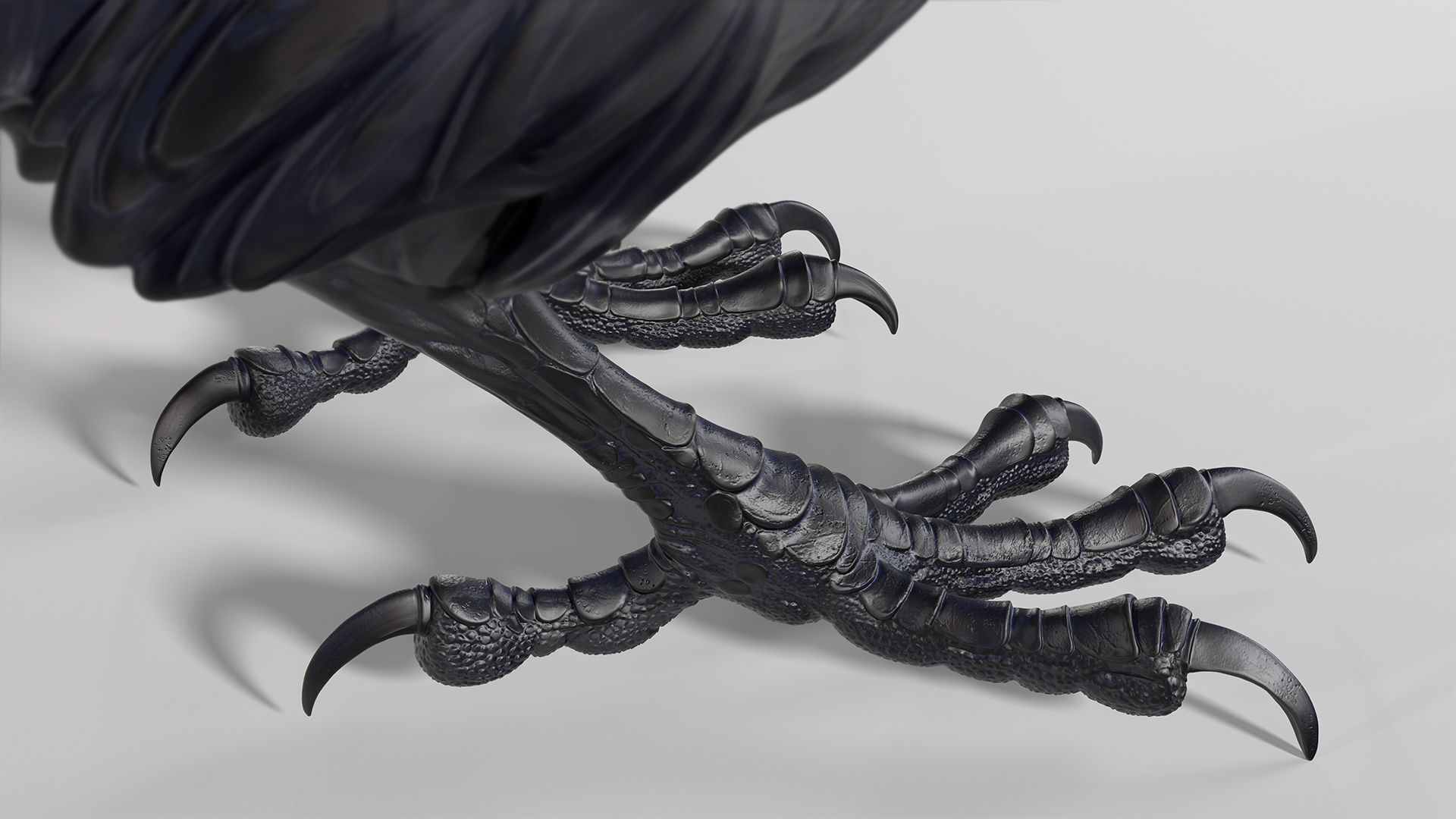3 Crows 3D Model Collection_5