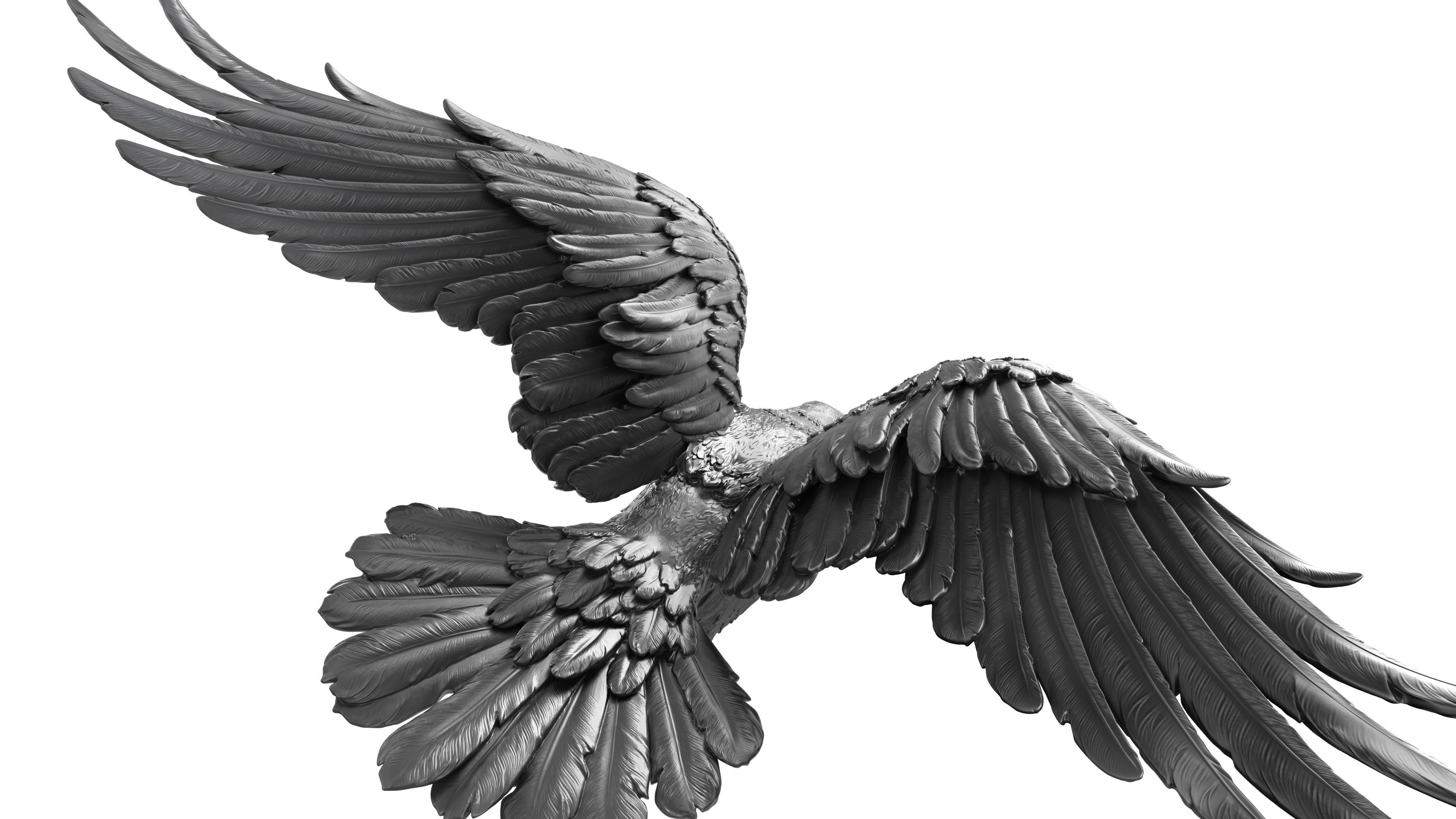 3 Crows 3D Model Collection_20