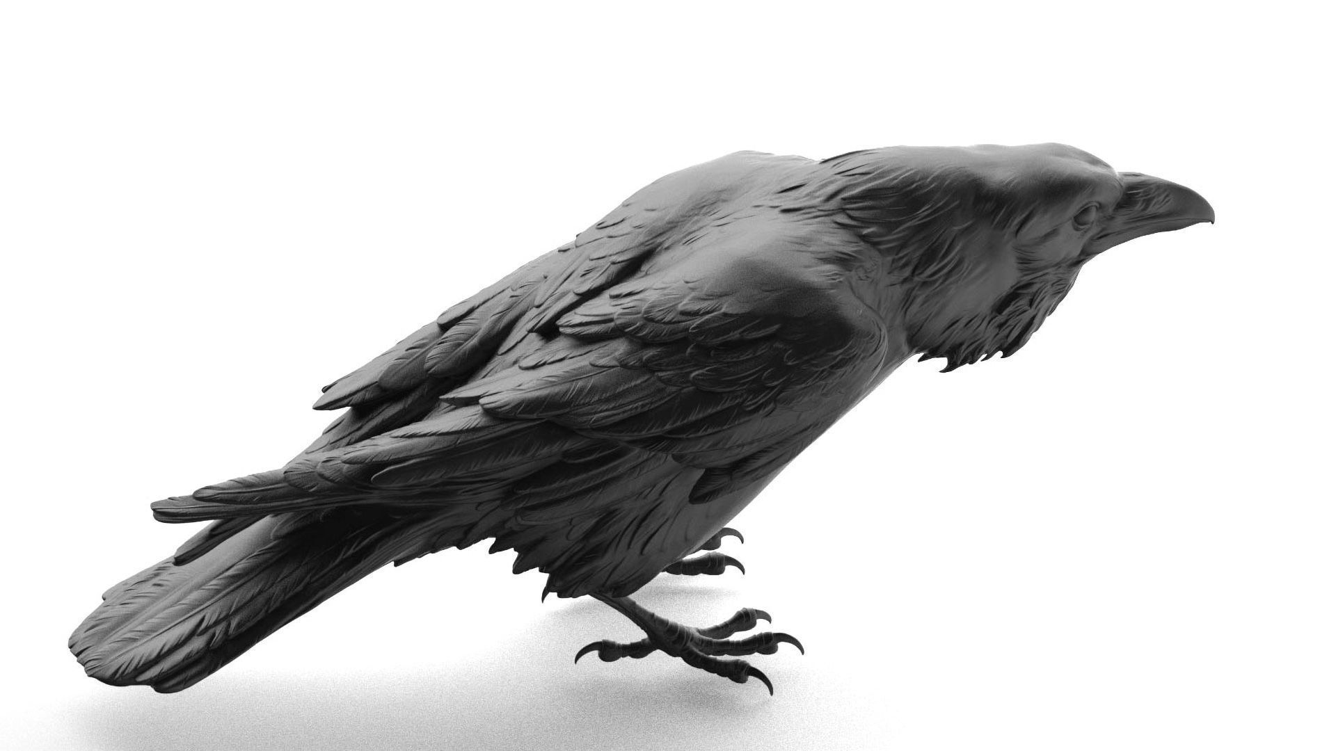 3 Crows 3D Model Collection_2