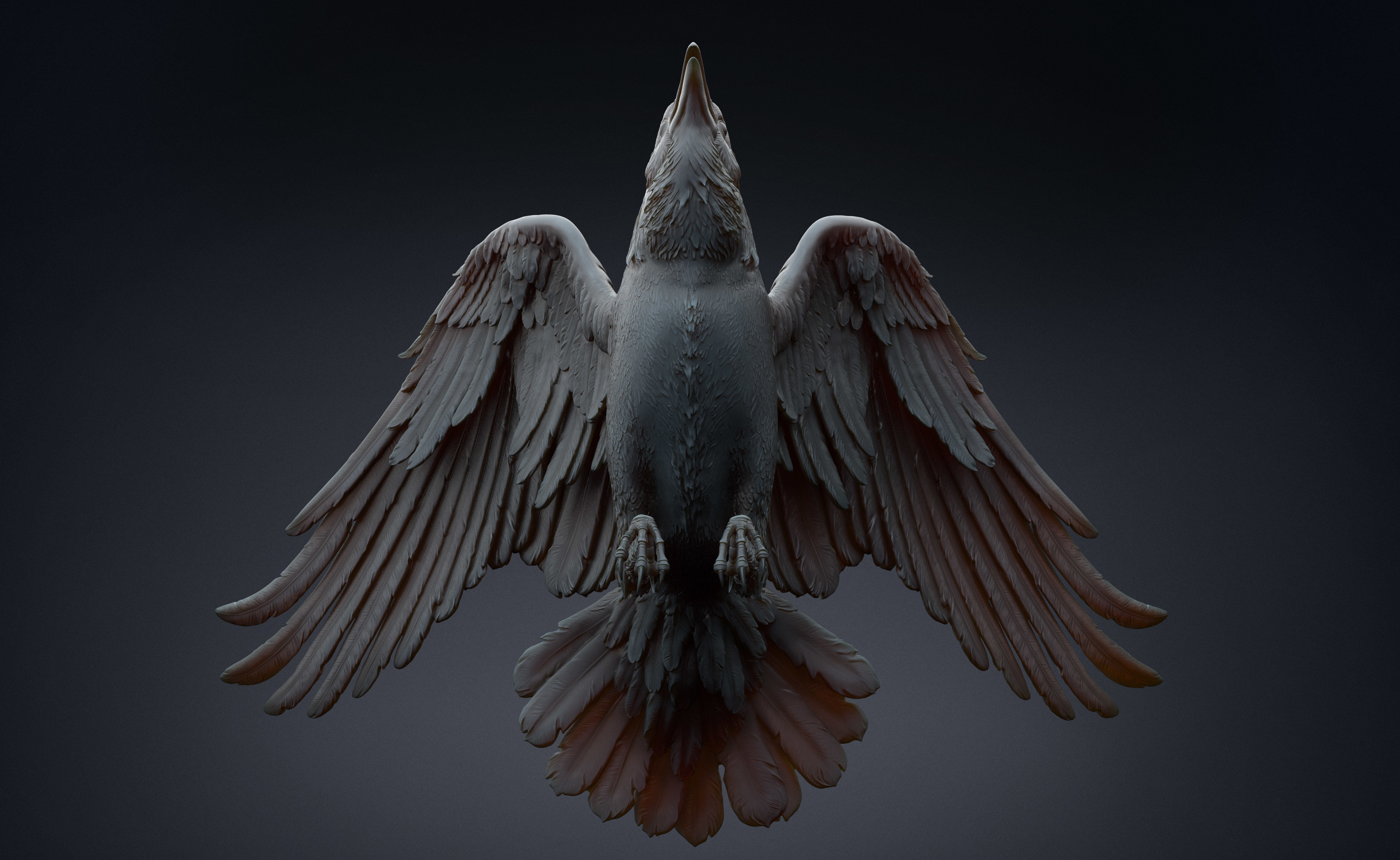 3 Crows 3D Model Collection_11