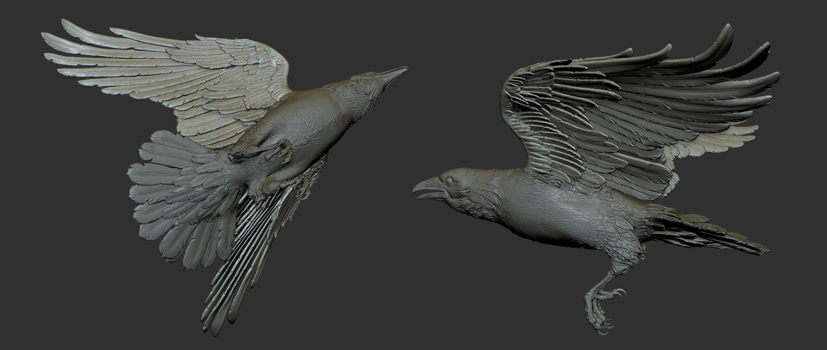 3 Crows 3D Model Collection_16