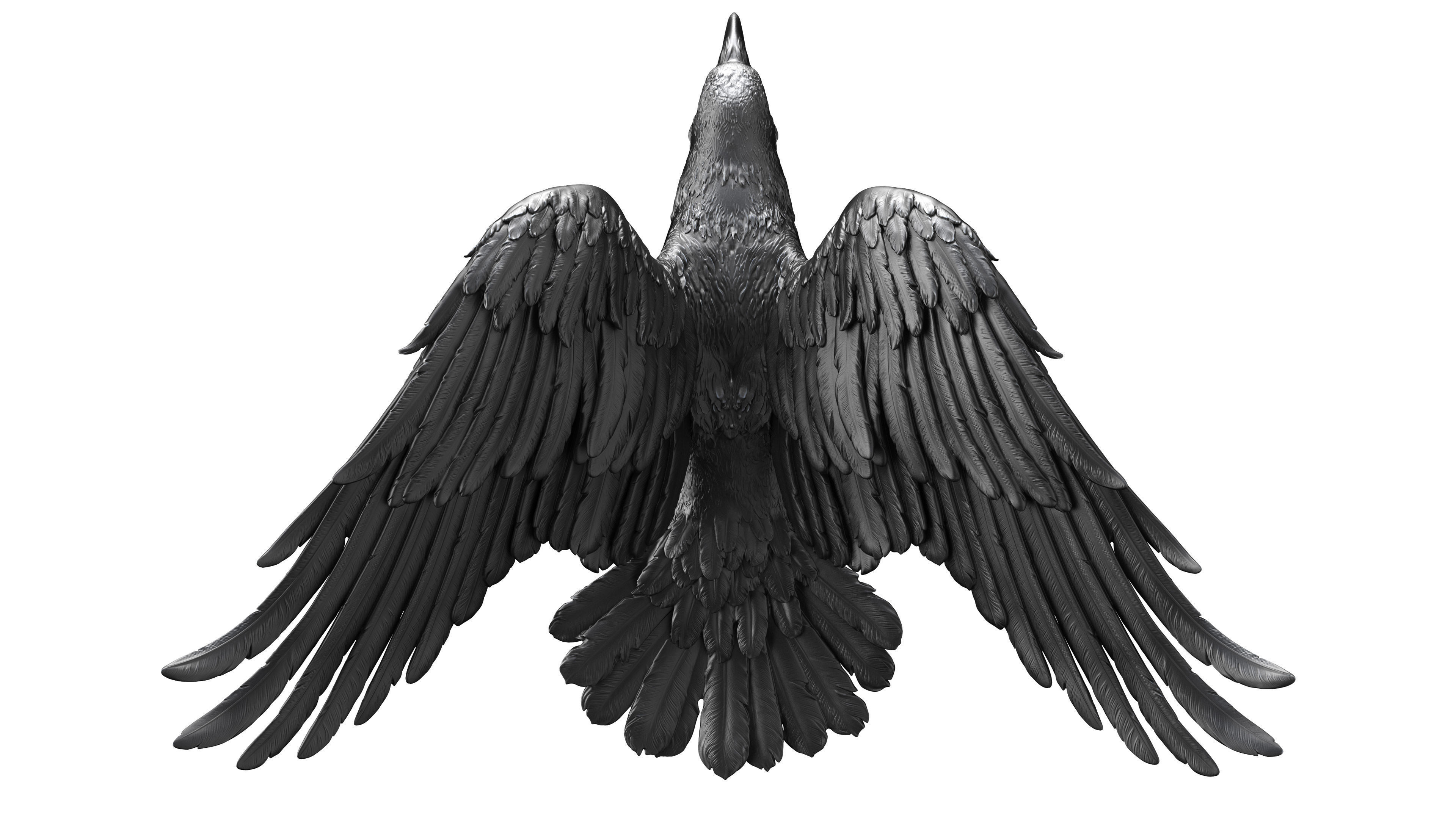 3 Crows 3D Model Collection_17