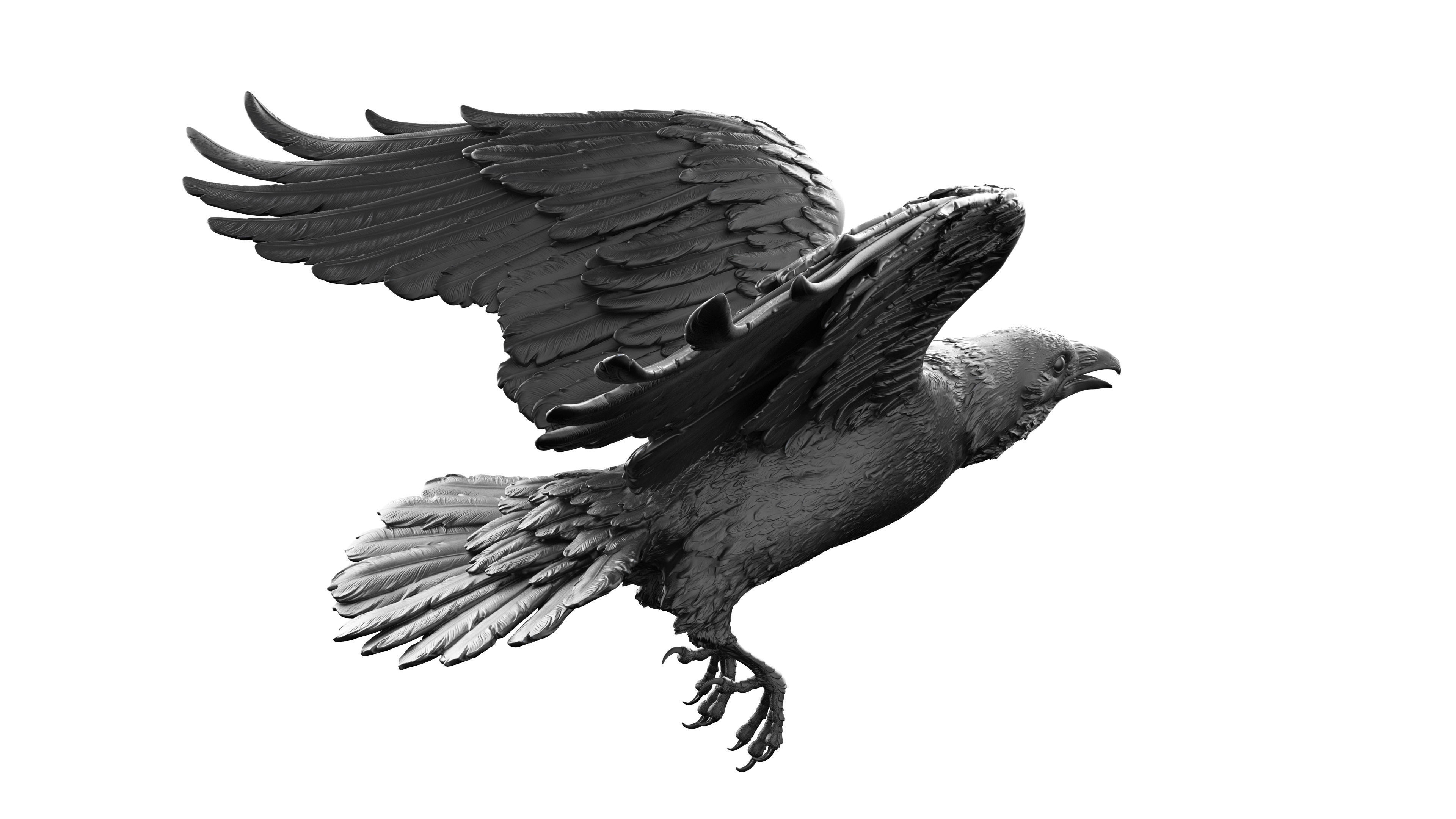 3 Crows 3D Model Collection_19