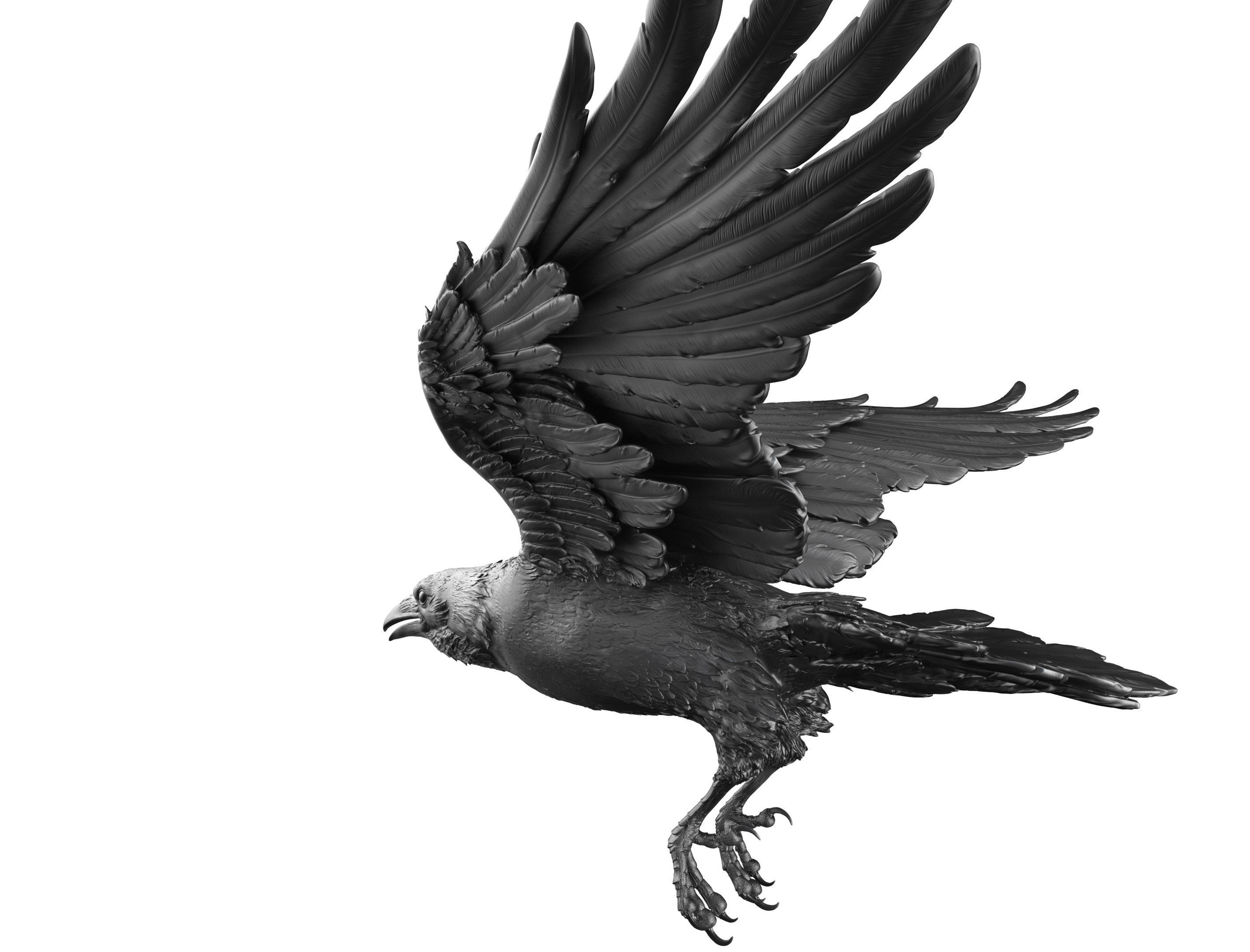3 Crows 3D Model Collection_21