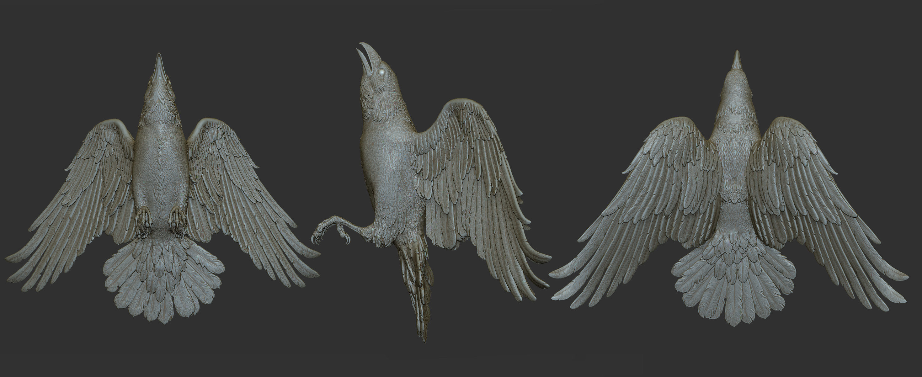 3 Crows 3D Model Collection_15