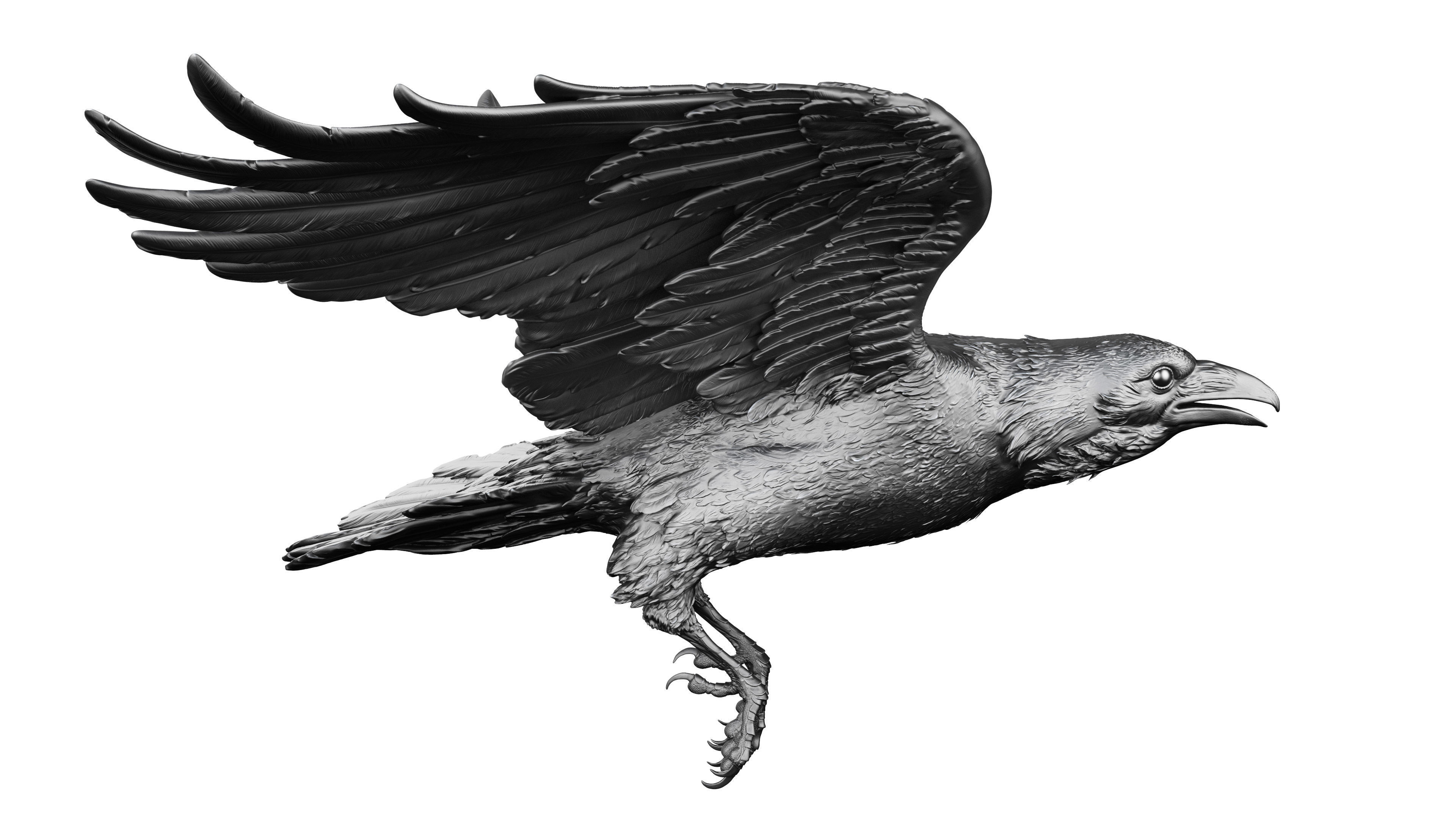 3 Crows 3D Model Collection_18