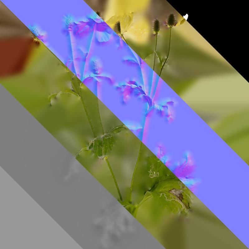 Anydrafts Rudbeckia laciniata Atlas 02 Texture_8