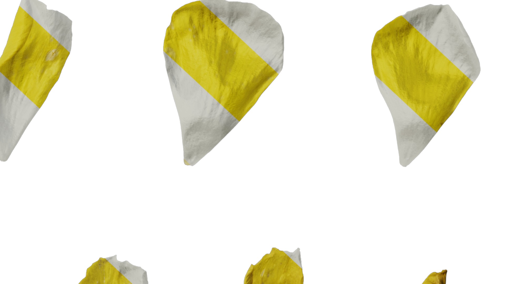 Anydrafts Rudbeckia laciniata Flower 03 Texture_6