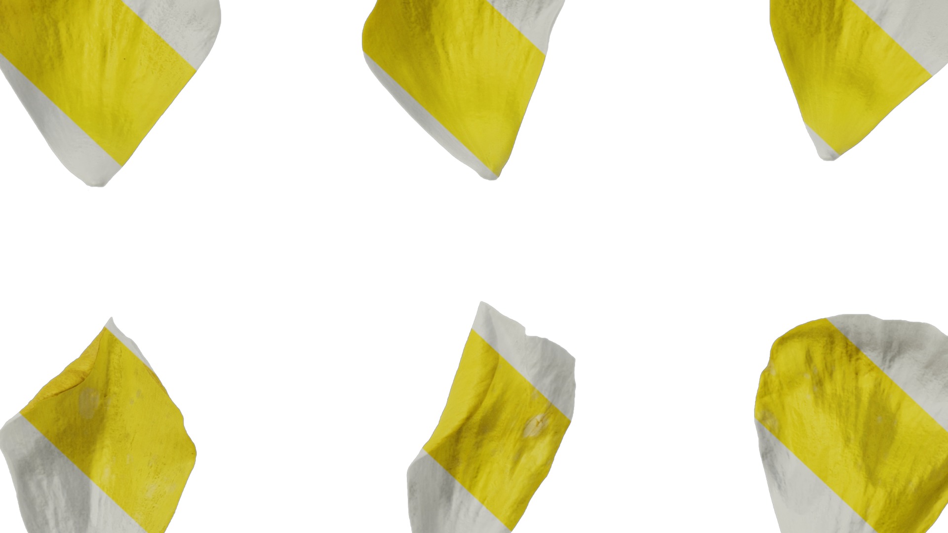 Anydrafts Rudbeckia laciniata Flower 03 Texture_7