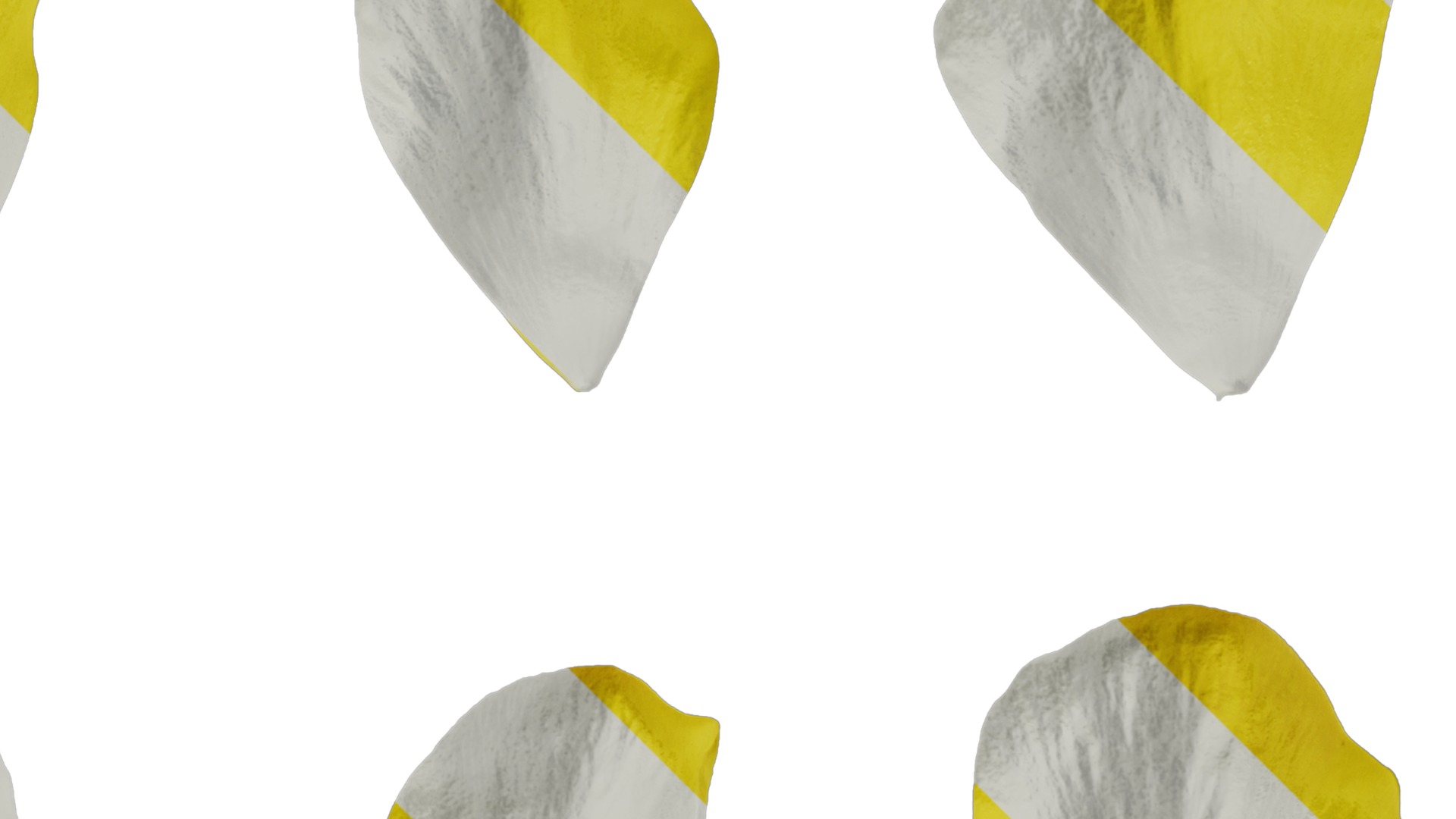 Anydrafts Rudbeckia laciniata Flower 03 Texture_2