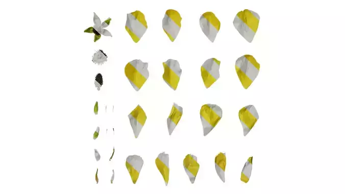 Anydrafts Rudbeckia laciniata Flower 03 Texture Anydrafts Rudbeckia laciniata Flower 03 Texture