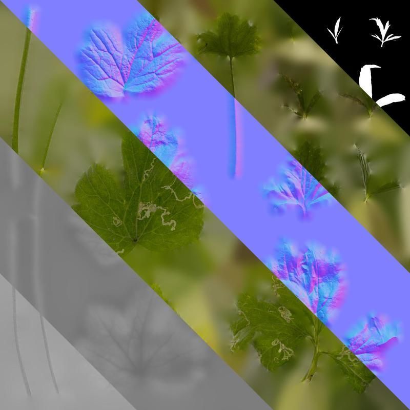 Anydrafts Rudbeckia laciniata Leaf 02 Texture_8