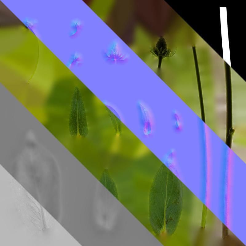 Anydrafts Rudbeckia maxima Atlas 01 Texture_8