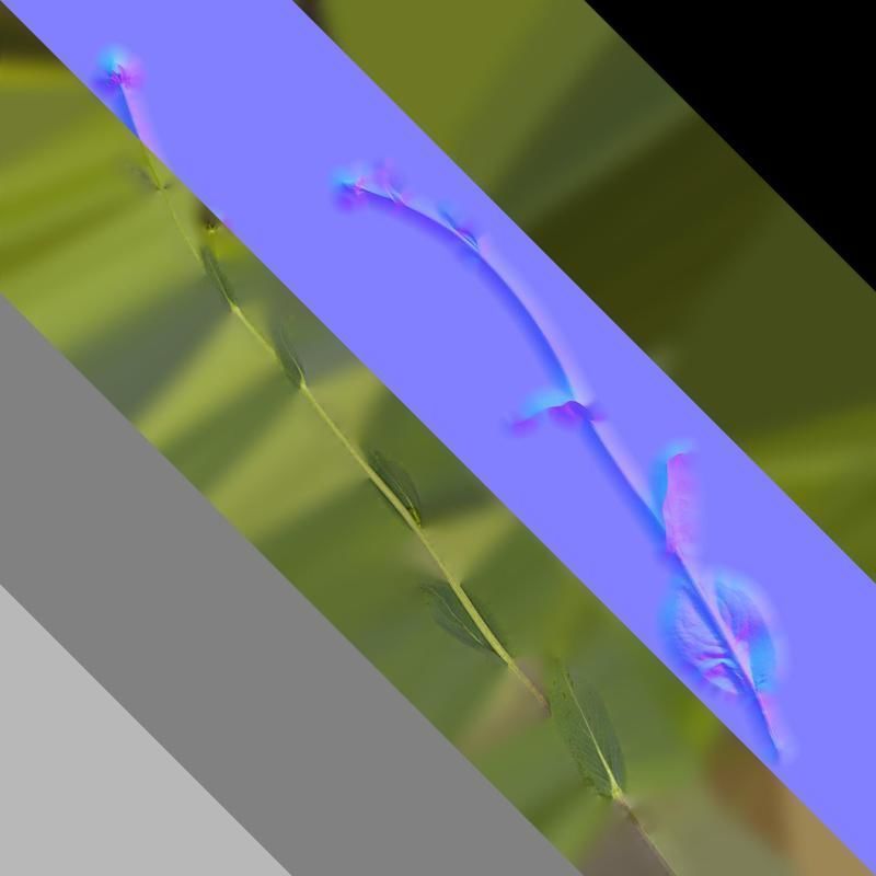 Anydrafts Rudbeckia maxima Atlas 02 Texture_8