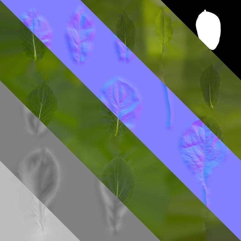 Anydrafts Rudbeckia maxima Leaf 01 Texture_8