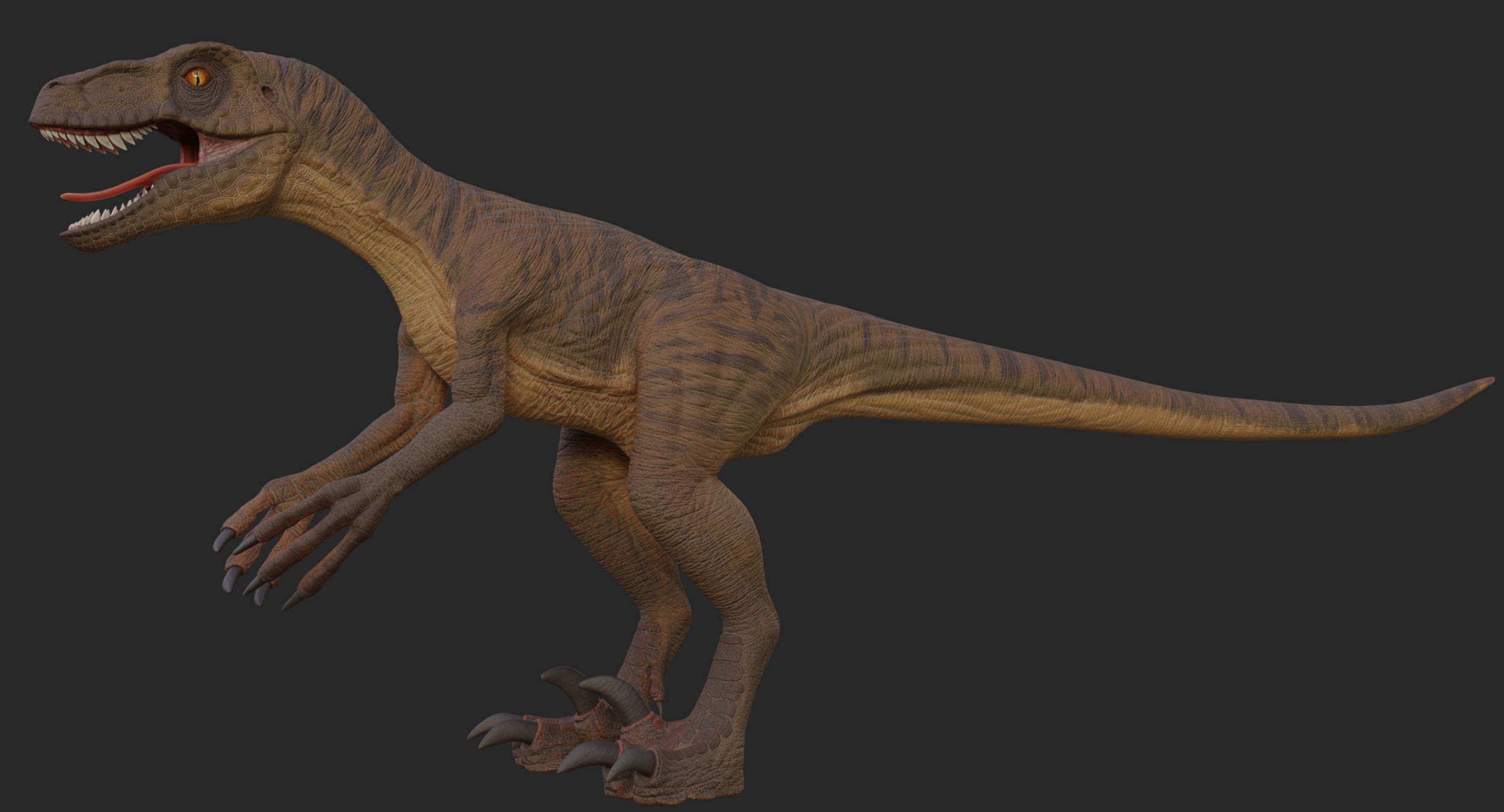 Velociraptor Low-poly 3D model_9