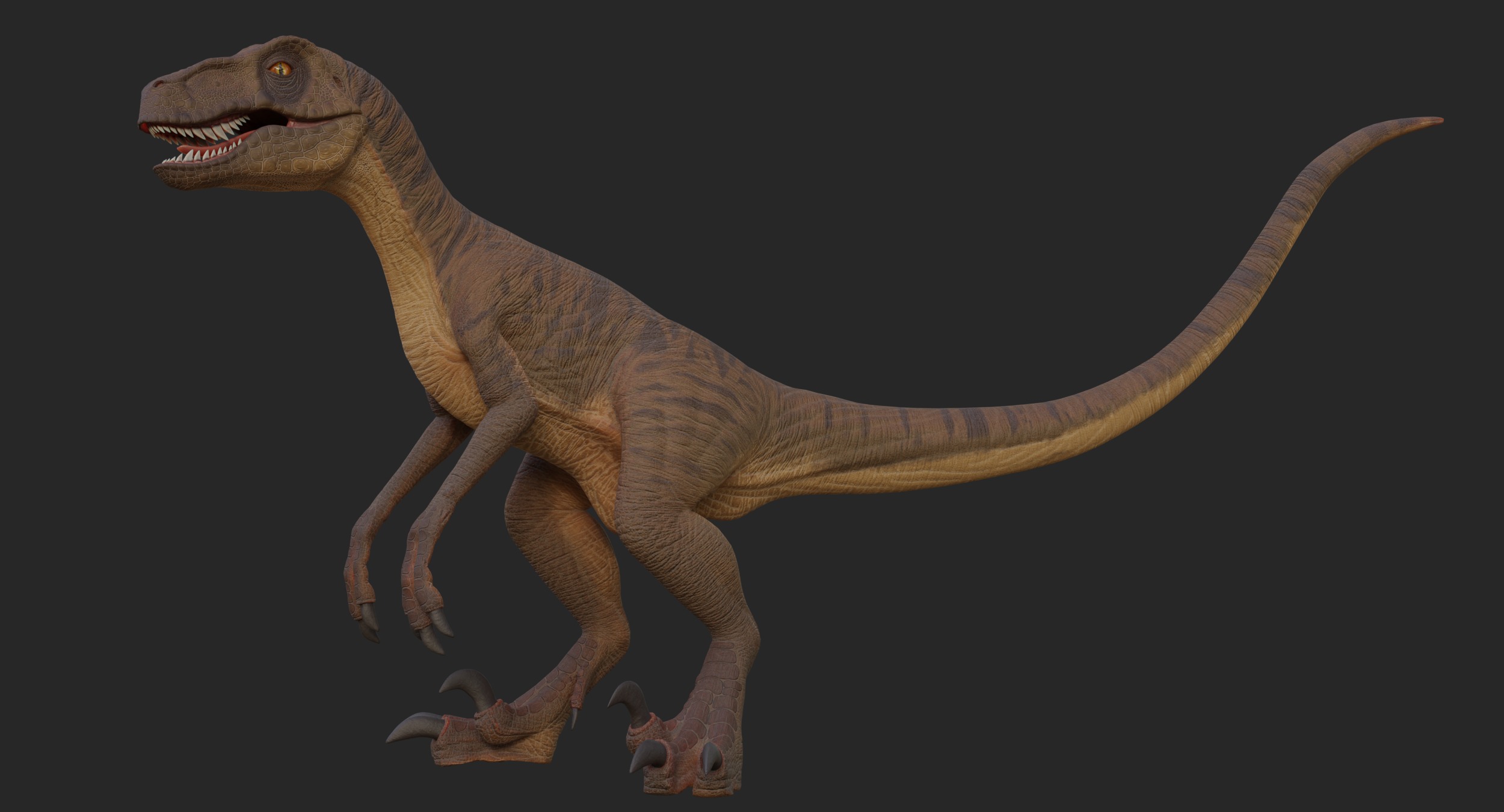 Velociraptor Low-poly 3D model_2