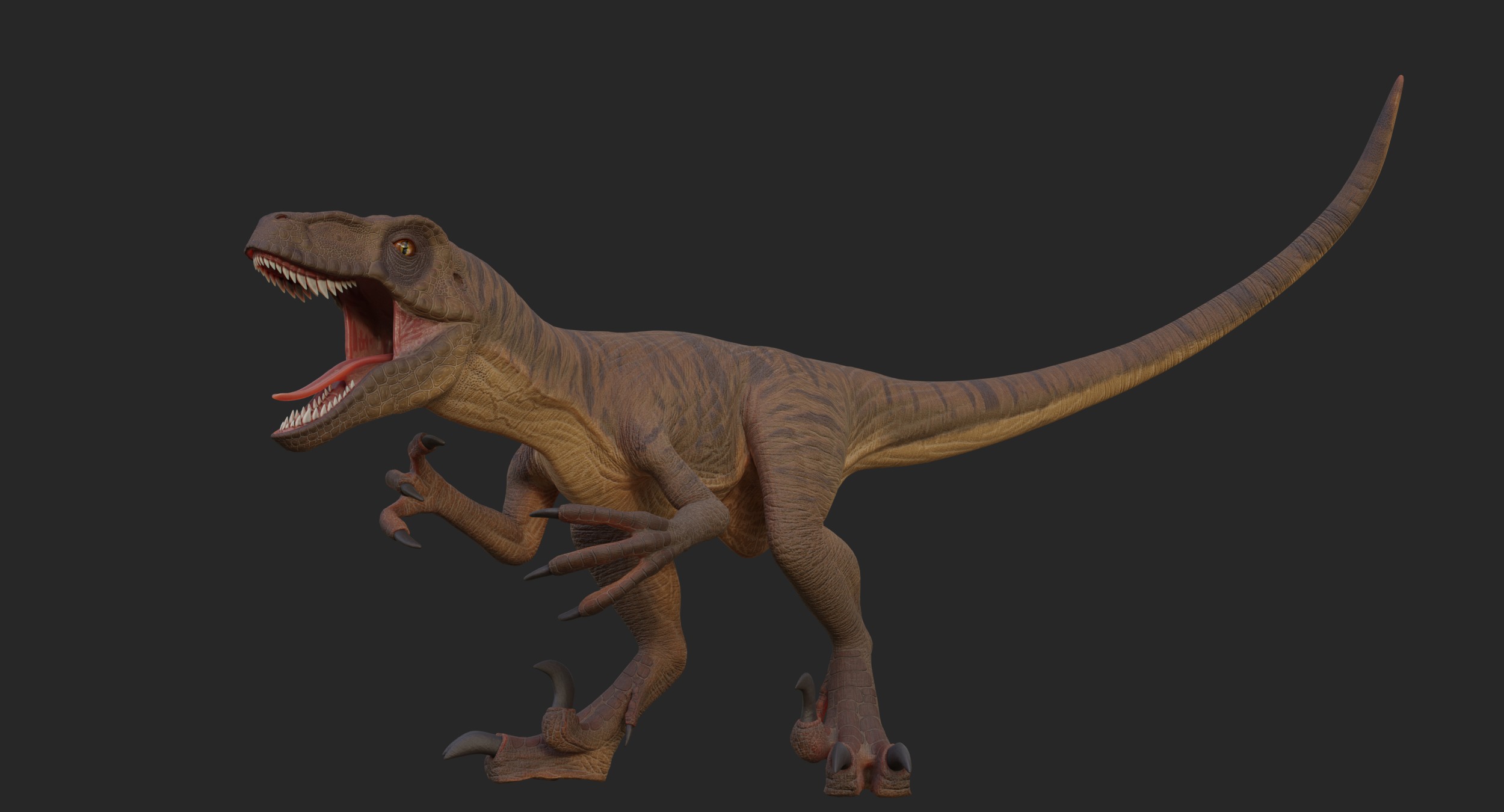Velociraptor Low-poly 3D model_8