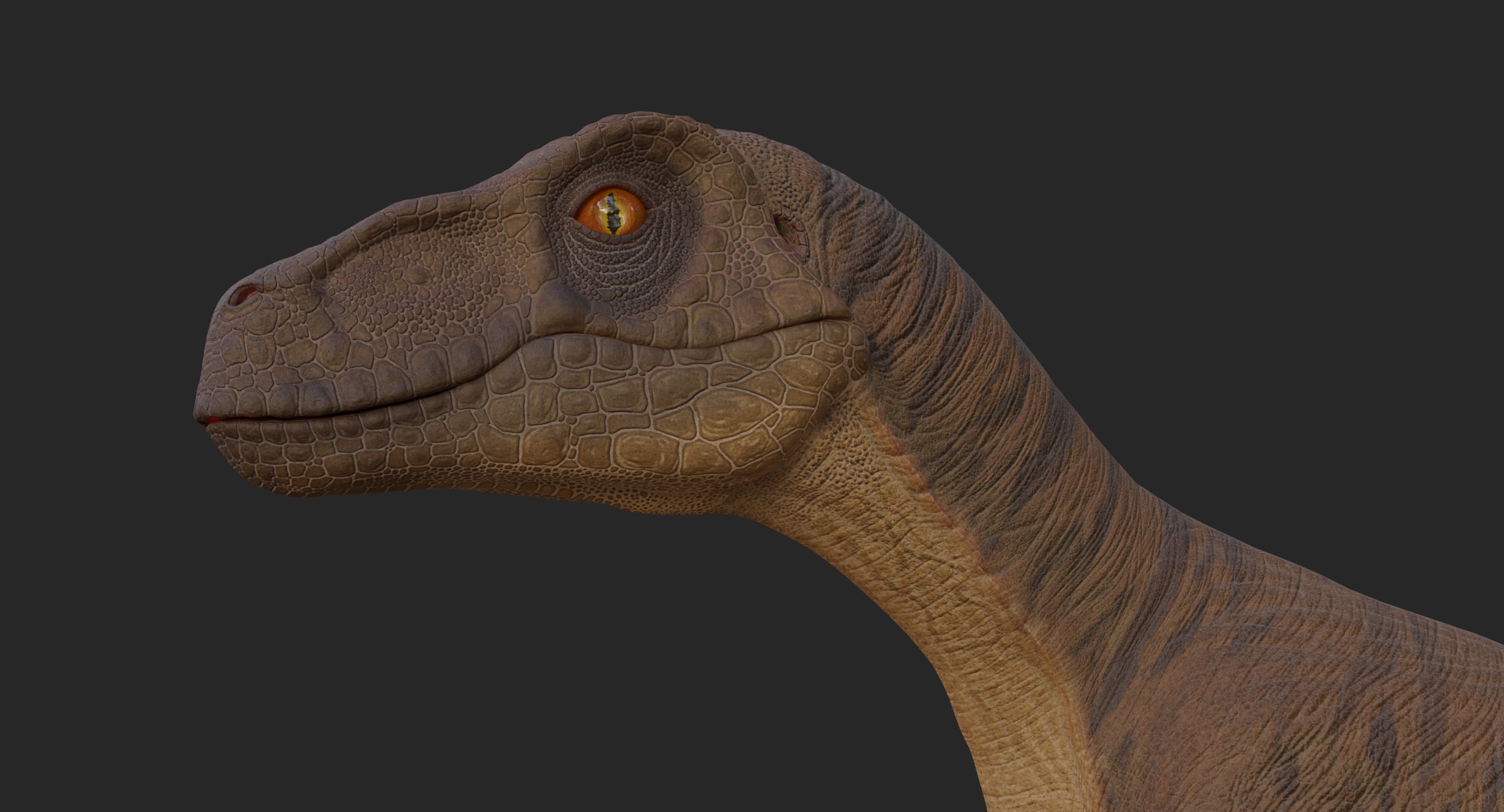Velociraptor Low-poly 3D model_7