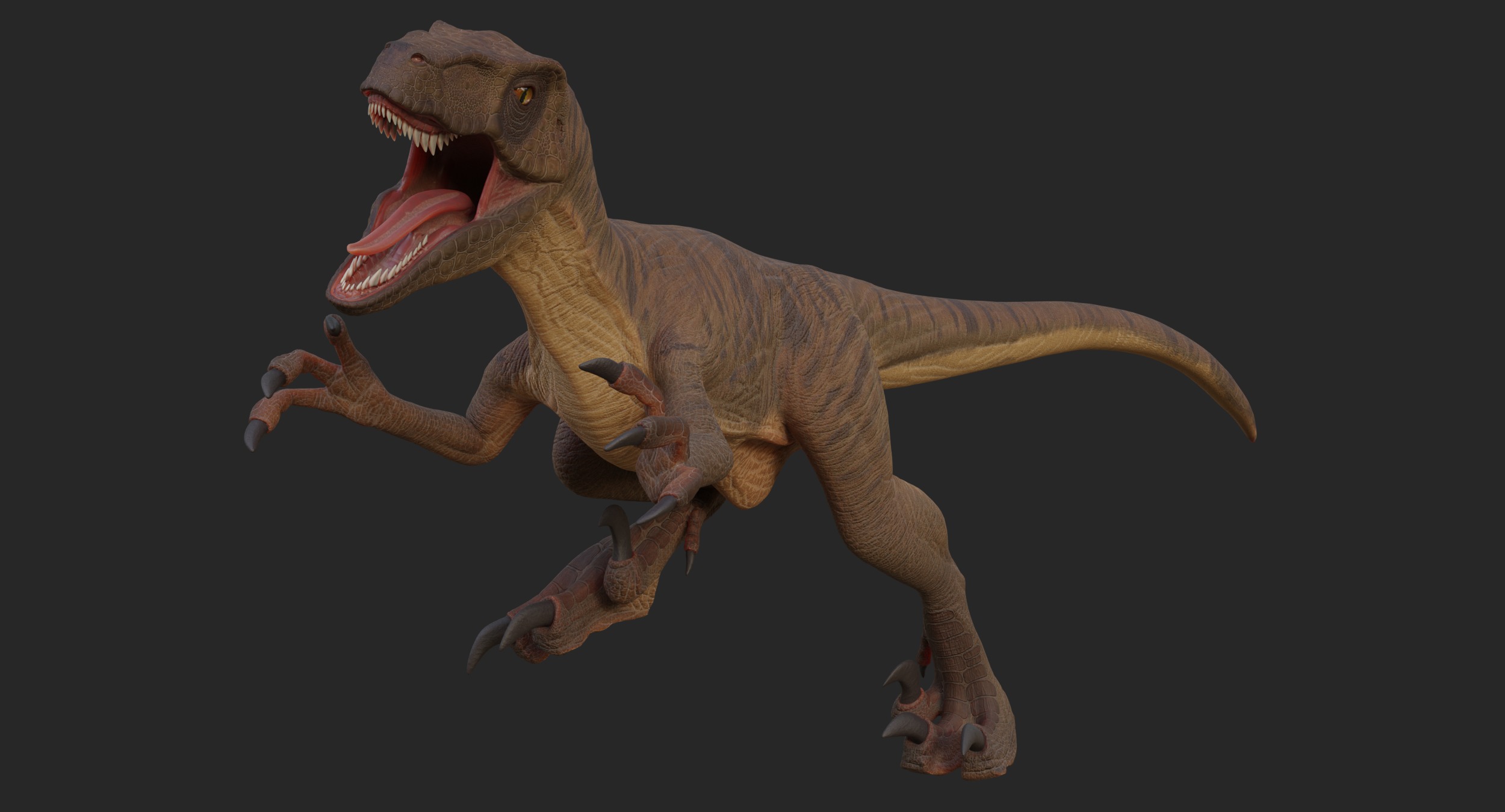 Velociraptor Low-poly 3D model_4