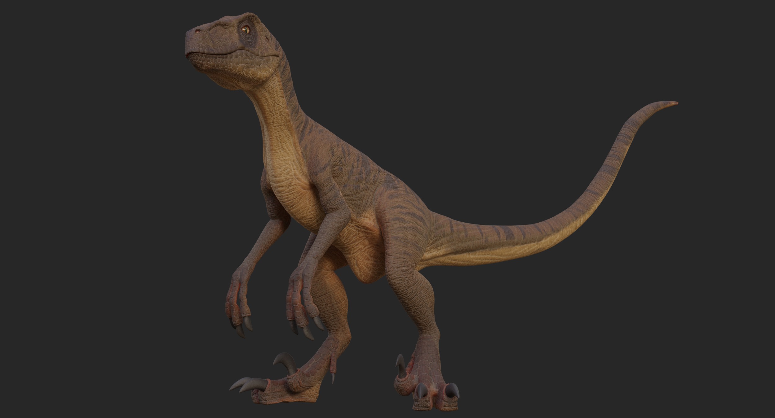 Velociraptor Low-poly 3D model_6
