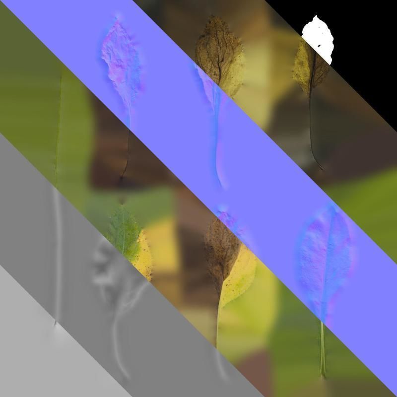 Anydrafts Rudbeckia maxima Leaf 02 Texture_8