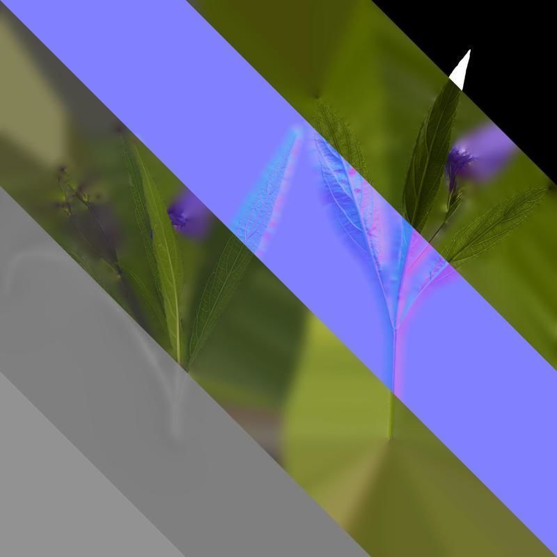 Anydrafts Ruellia simplex Atlas 04 Texture_8